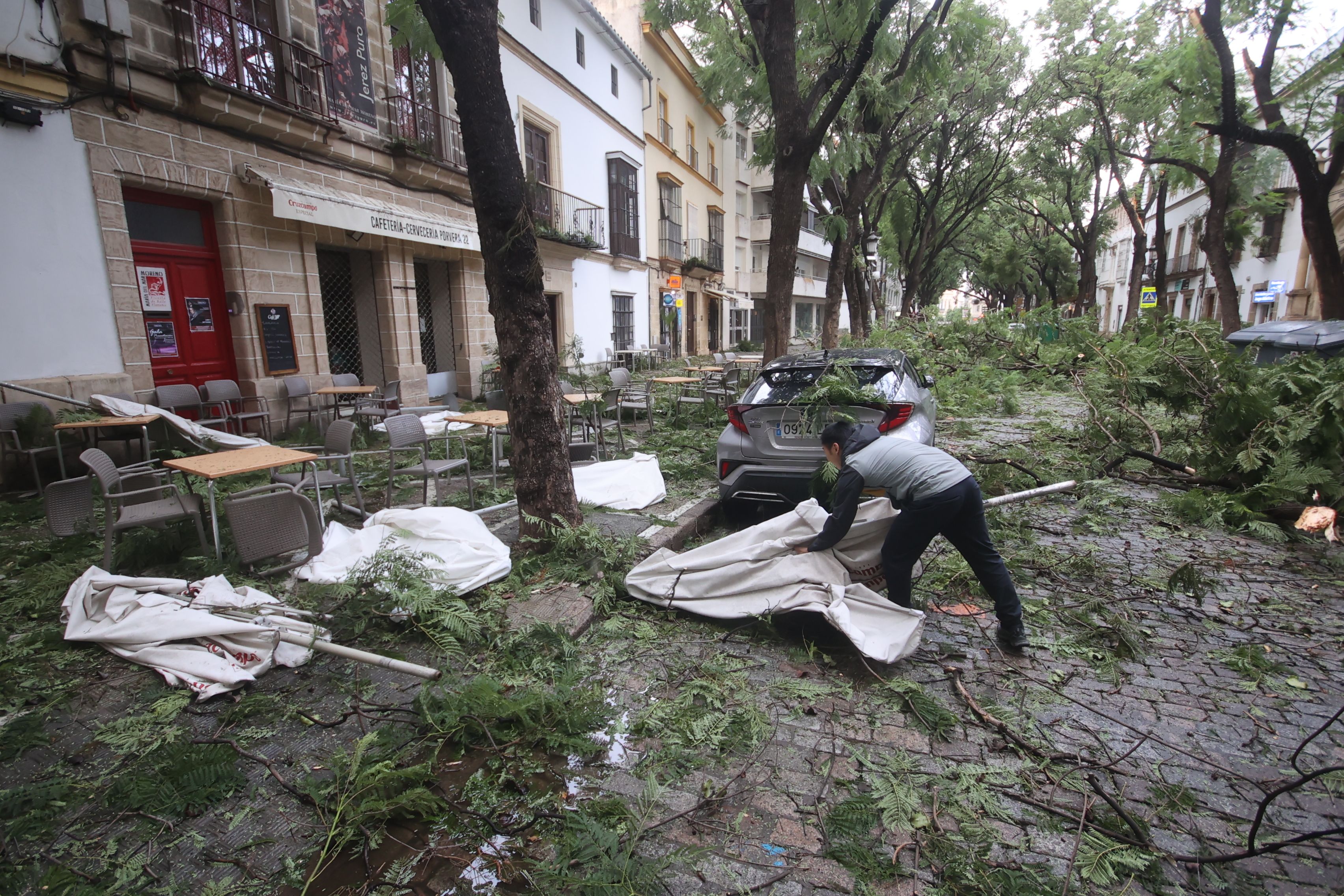 Imagen de una trabajadora en Jerez recogiendo la terraza entre ramas durante el temporal. Imagen de una trabajadora en Jerez recogiendo la terraza entre ramas durante el temporal.