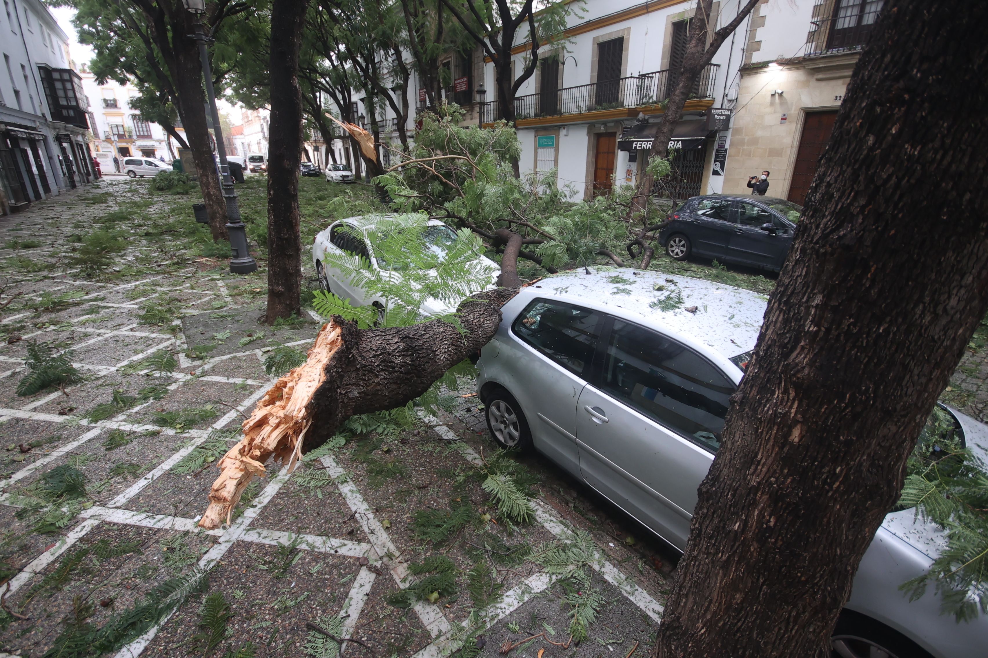 TEMPORAL JEREZ BERNARD