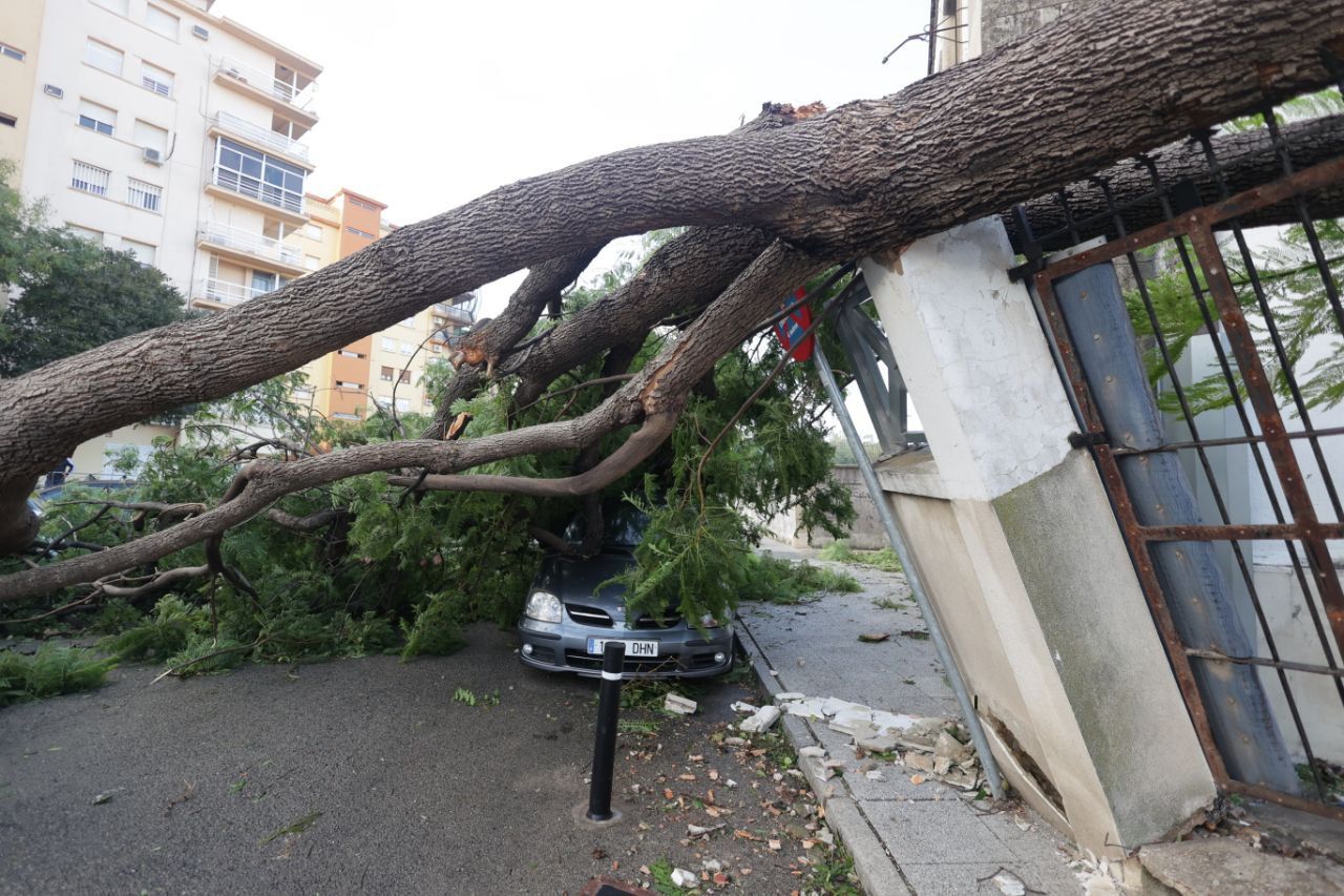 Fachada del CEIP Isabel la Católica. Fachada del CEIP Isabel la Católica.