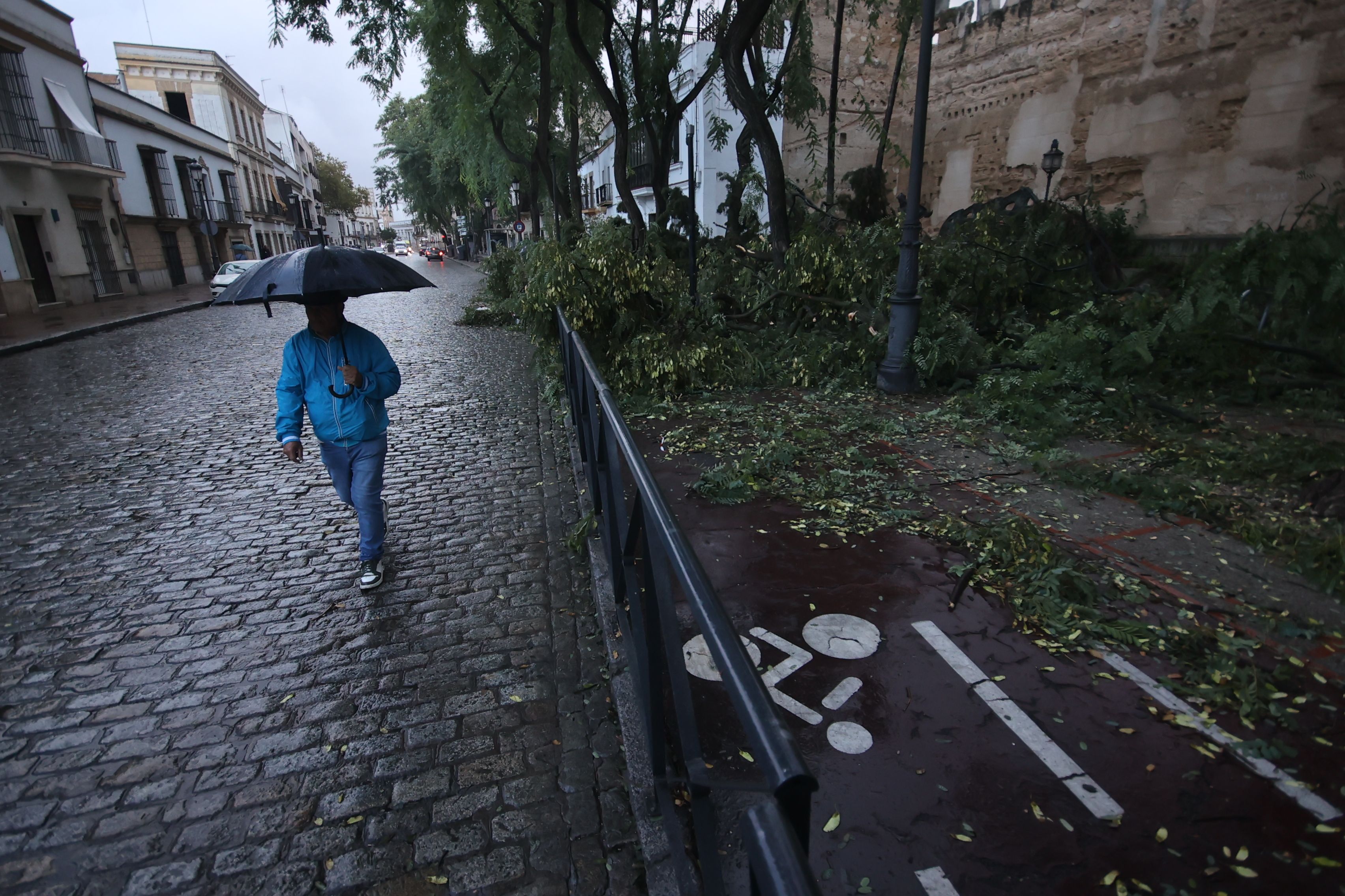 El lunes tras el temporal de viento en Jerez.