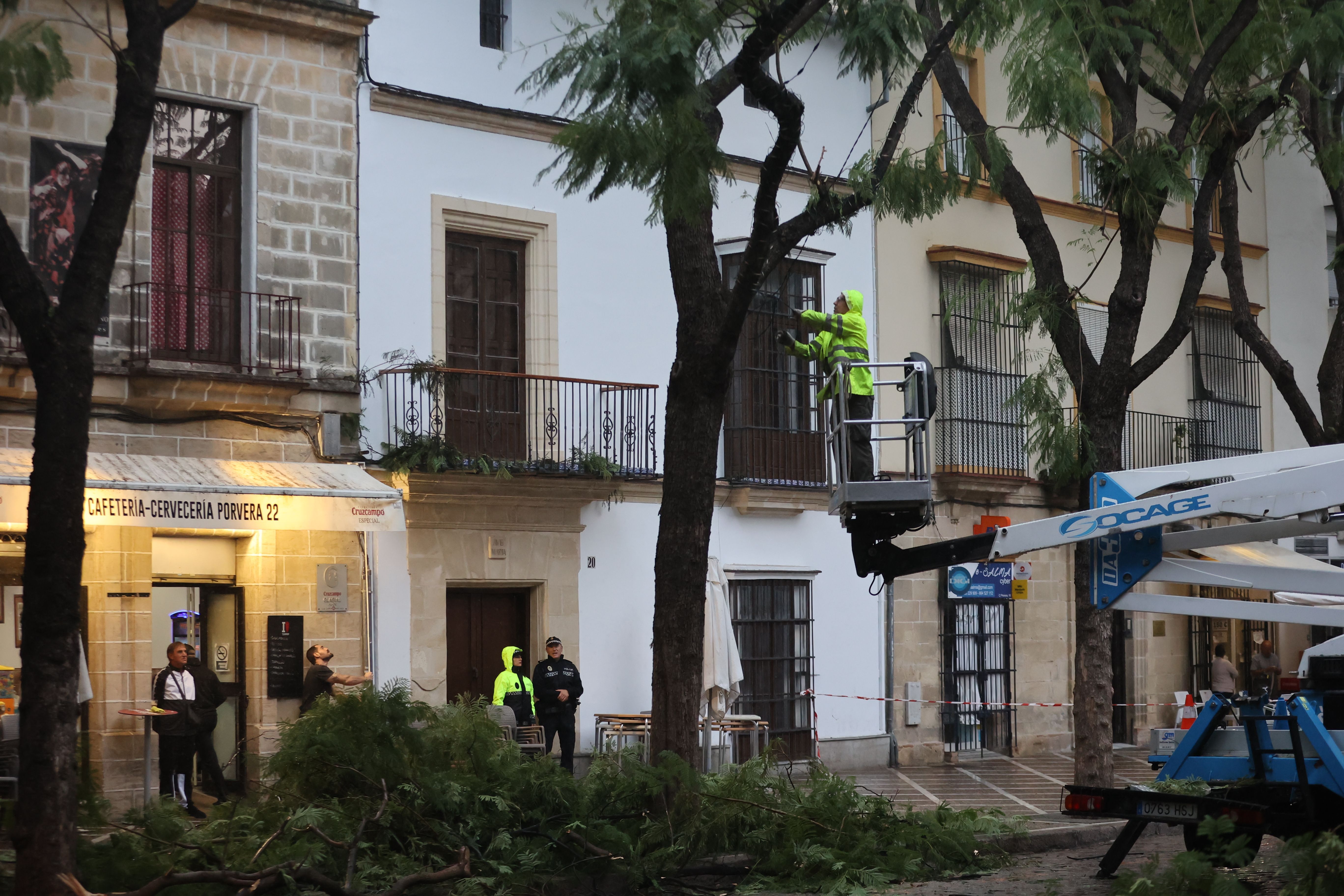 Imagen de archivo de efectos de un temporal de viento pasado en Jerez. Imagen de archivo de efectos de un temporal de viento pasado en Jerez.
