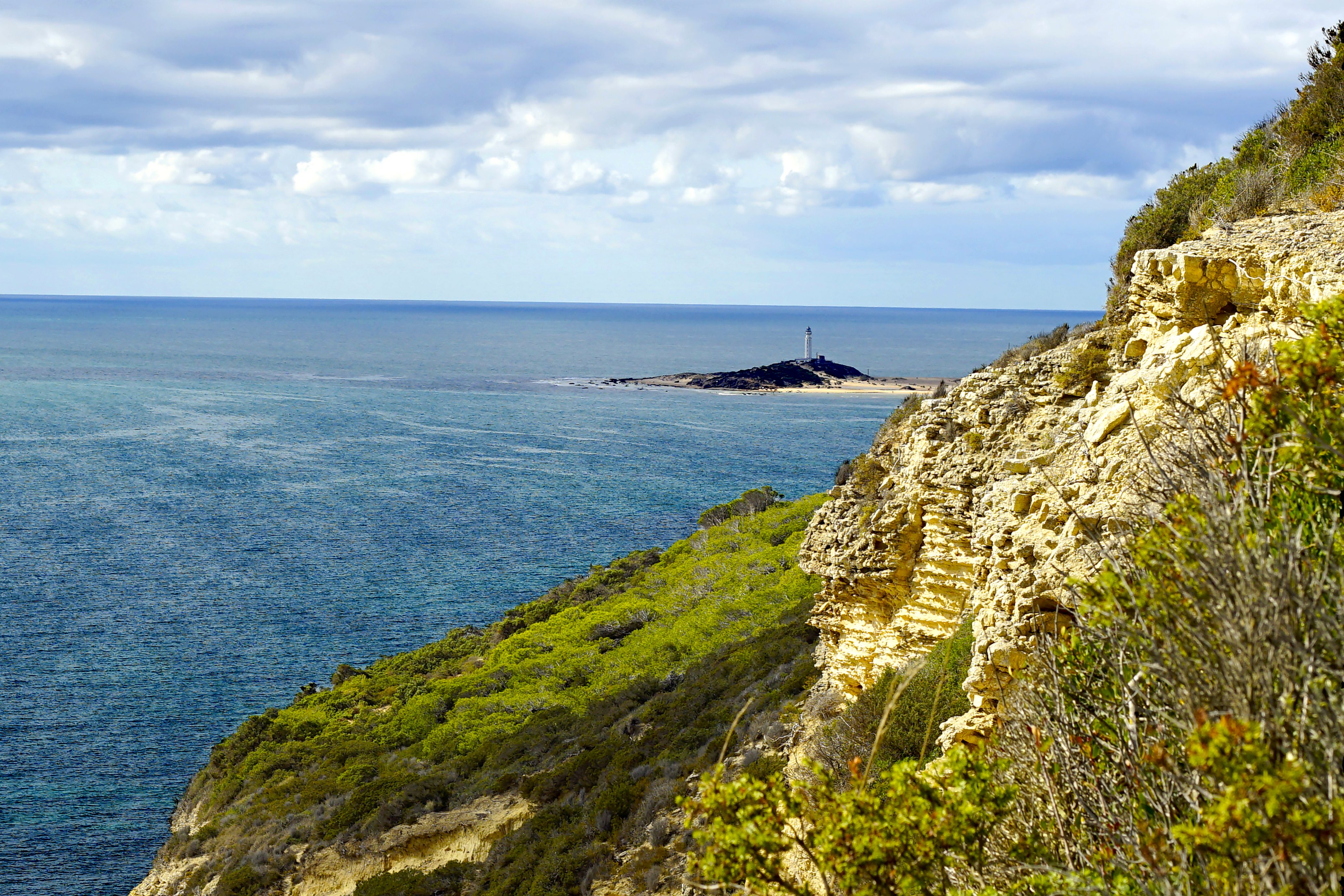 Sendero del Acantilado - La Breña (Barbate) - DSC5492