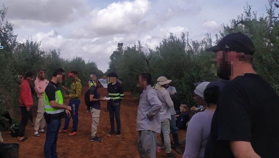 Migrantes explotados en una finca de Dos Hermanas.