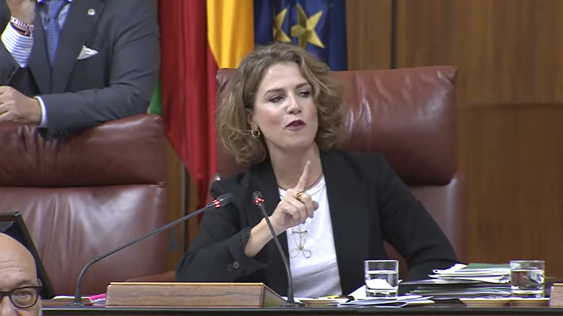 Ana Mestre en las funciones de presidenta del Parlamento.