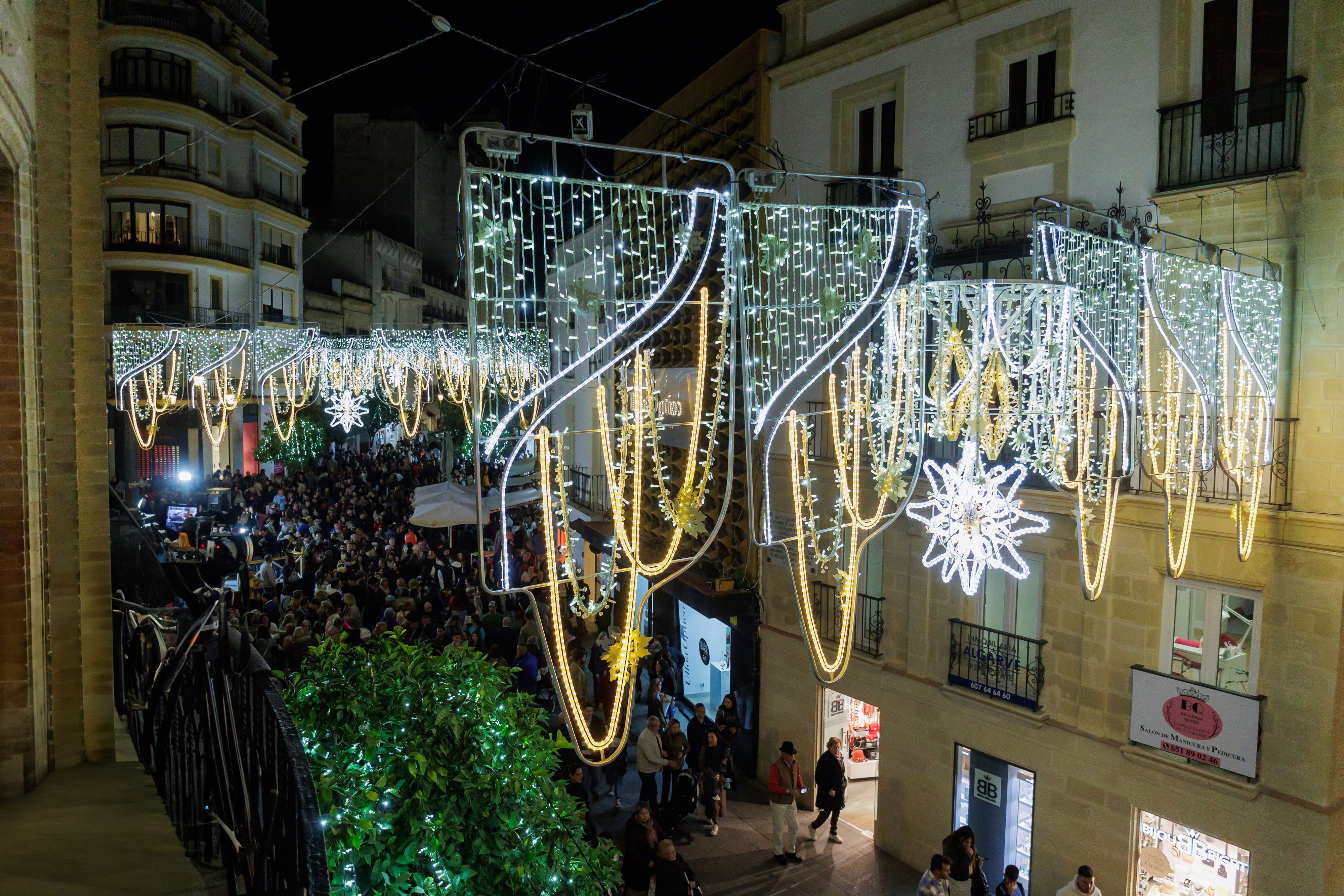 Alumbrado Navidad  33