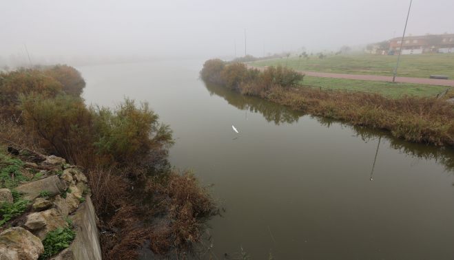 NIEBLA JEREZ