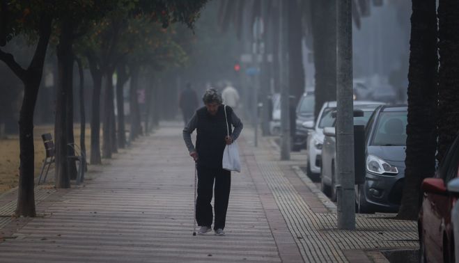 NIEBLA JEREZ
