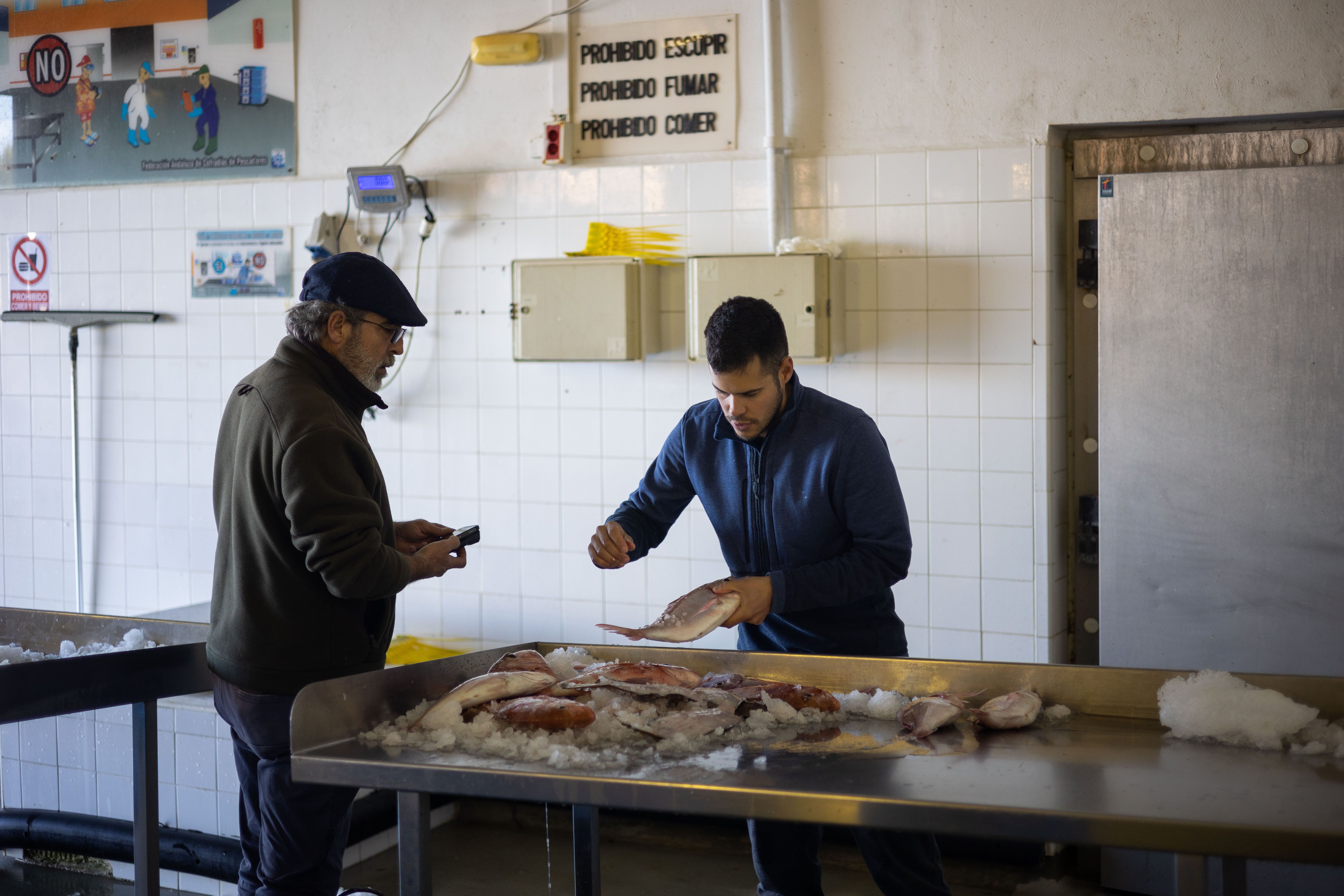 El joven conileño etiqueta el pescado.
