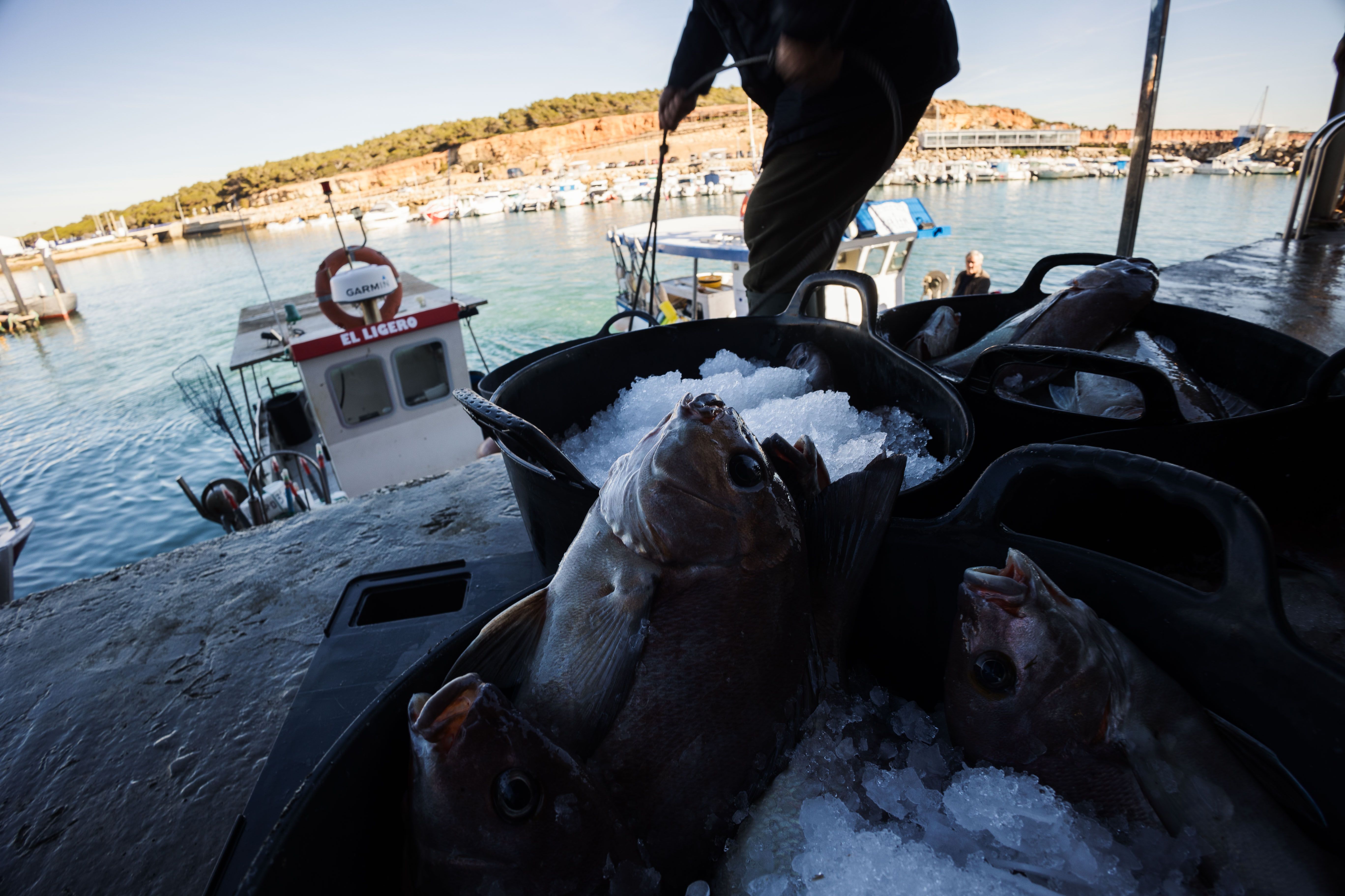 Los trabajadores descargan la pesca del día.