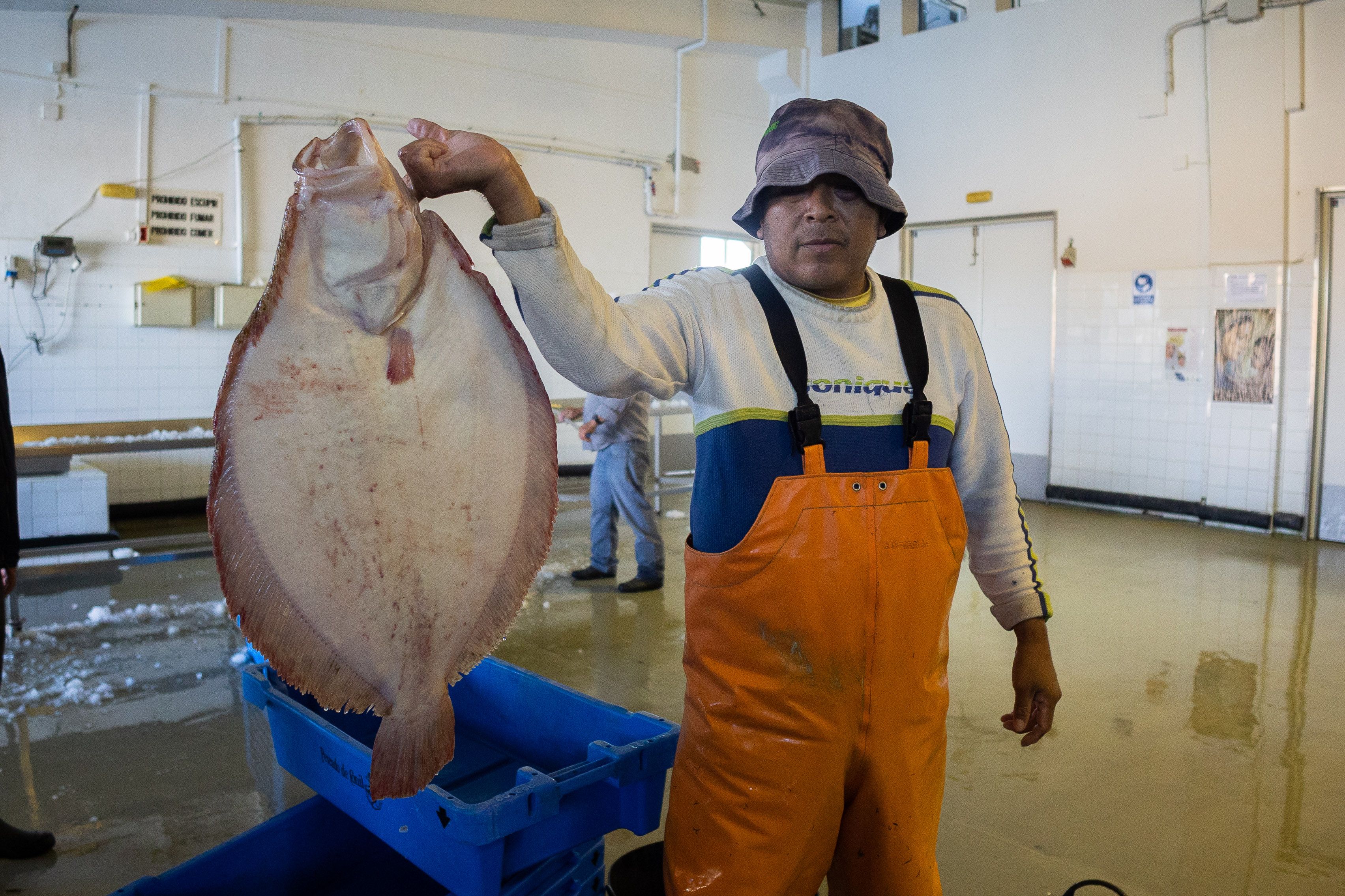 Un pescador muestra uno de los pescados capturados.