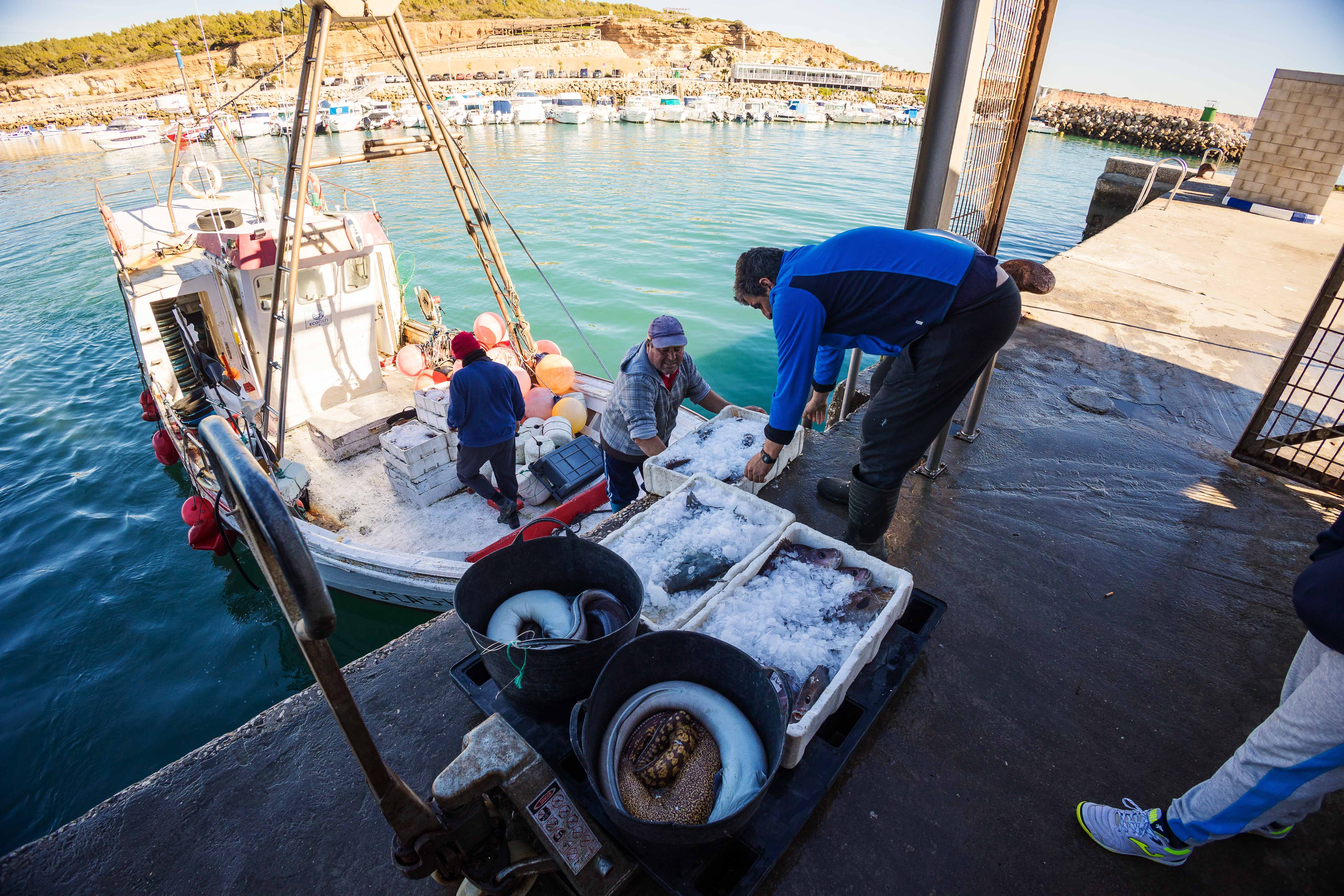 Llegada de los barcos a la lonja de Conil.