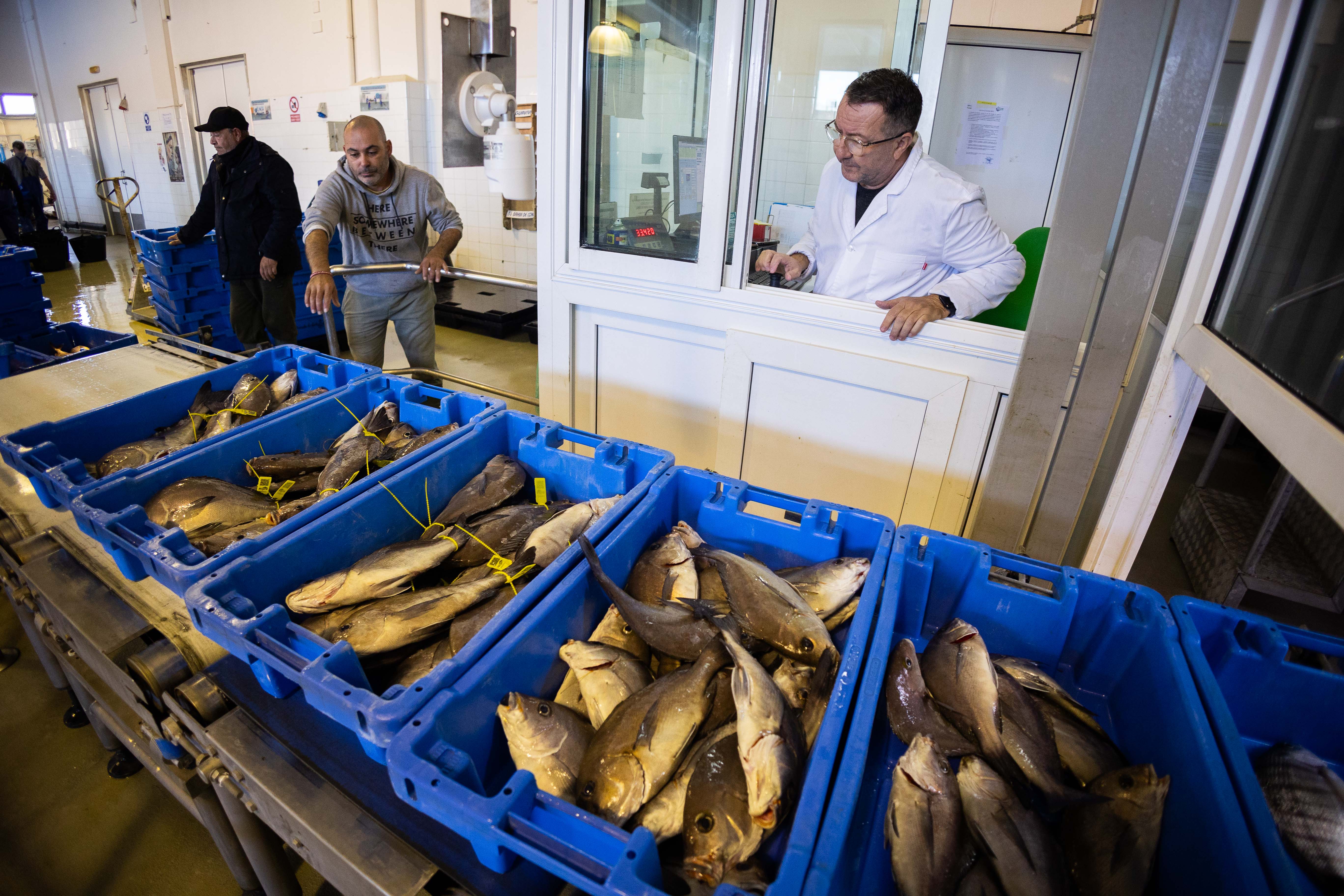 Juan controlando la subasta del pescado.
