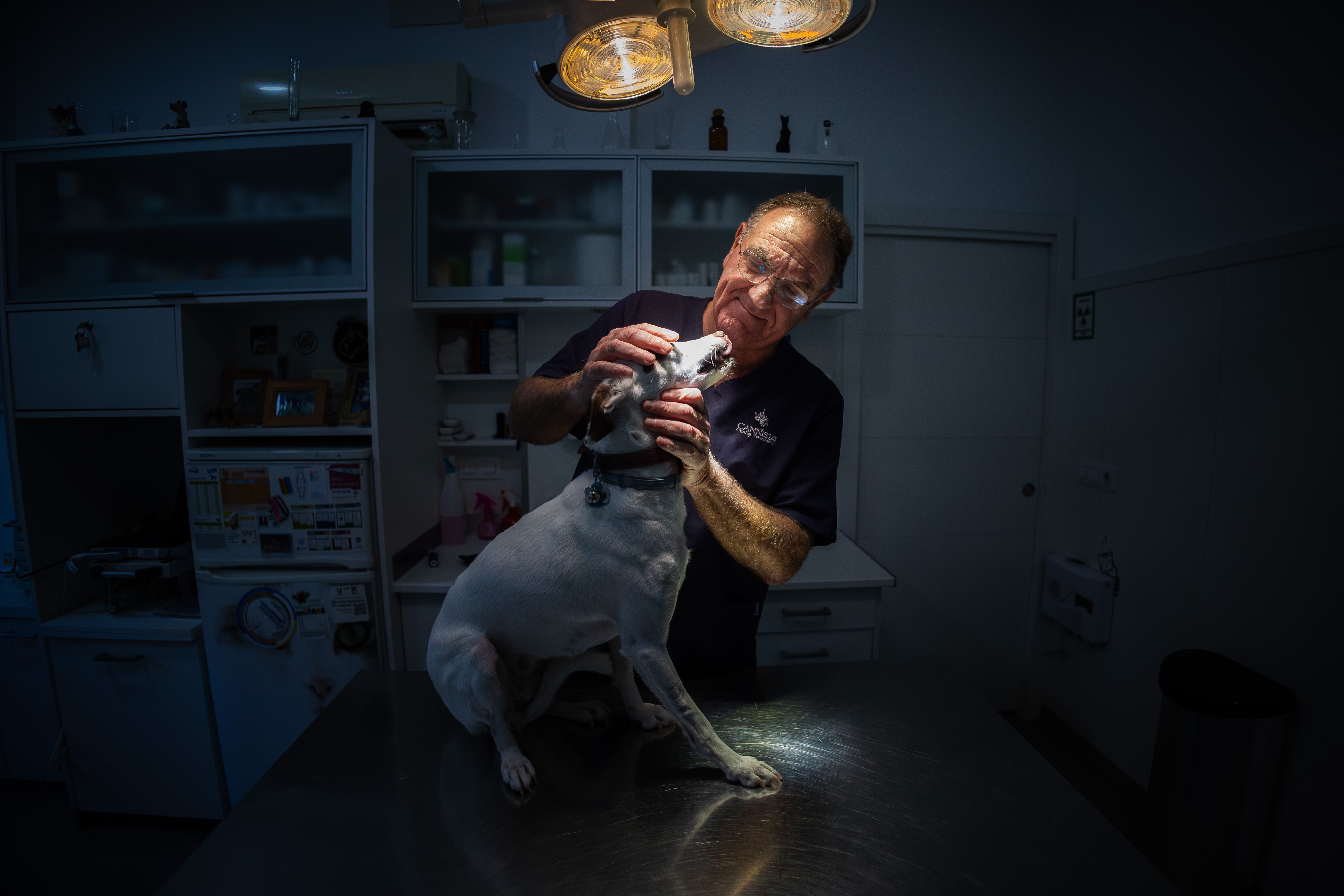 El veterinario, Eduardo Díez, con un perro en su consulta. 