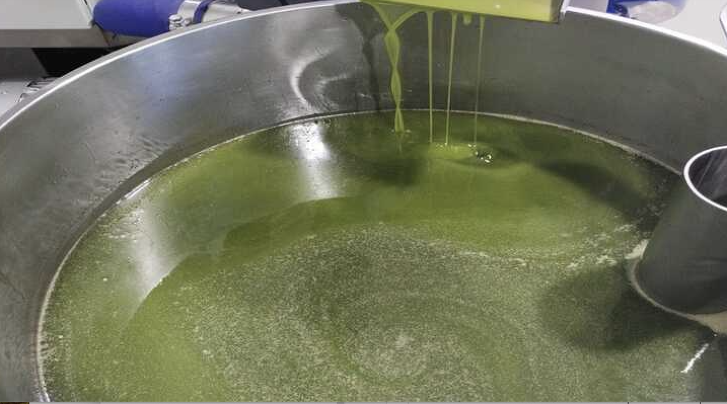 Imagen de una almazara de aceite. Imagen de una almazara de aceite.