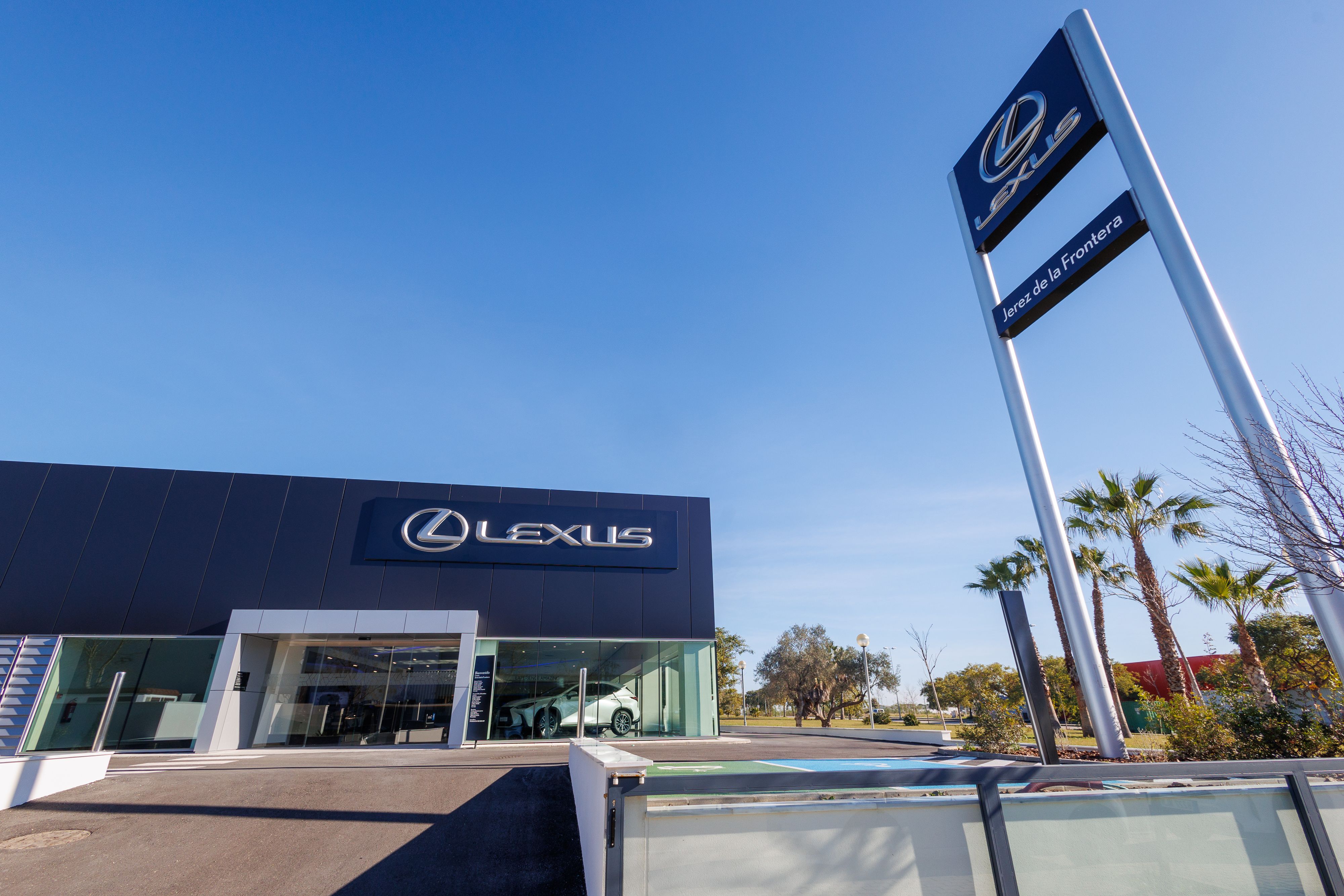 Jose Luis Nimo , Lexus 13