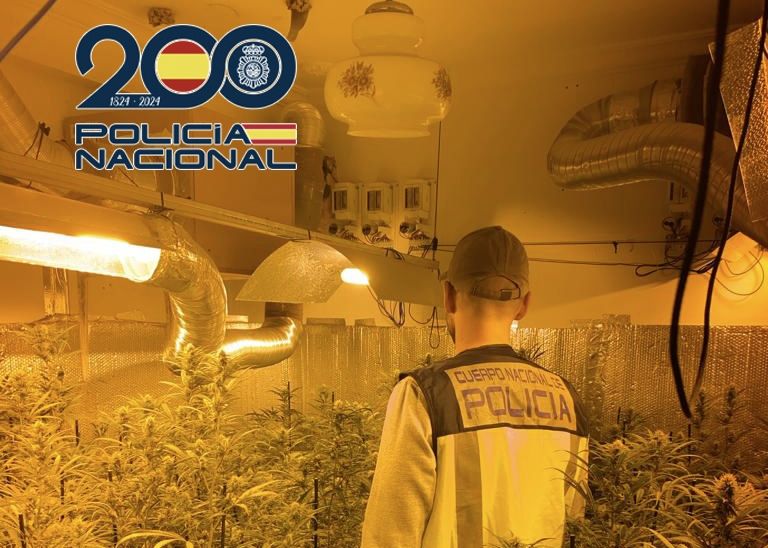 Plantaciones de marihuana en Jerez, en una imagen de archivo. Plantaciones de marihuana en Jerez, en una imagen de archivo.