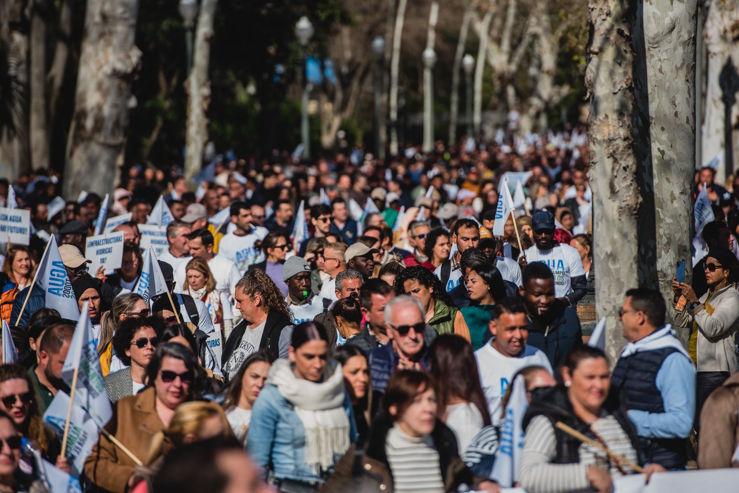 Manifestación de los agricultores de Huelva en las calles de Sevilla para pedir agua.