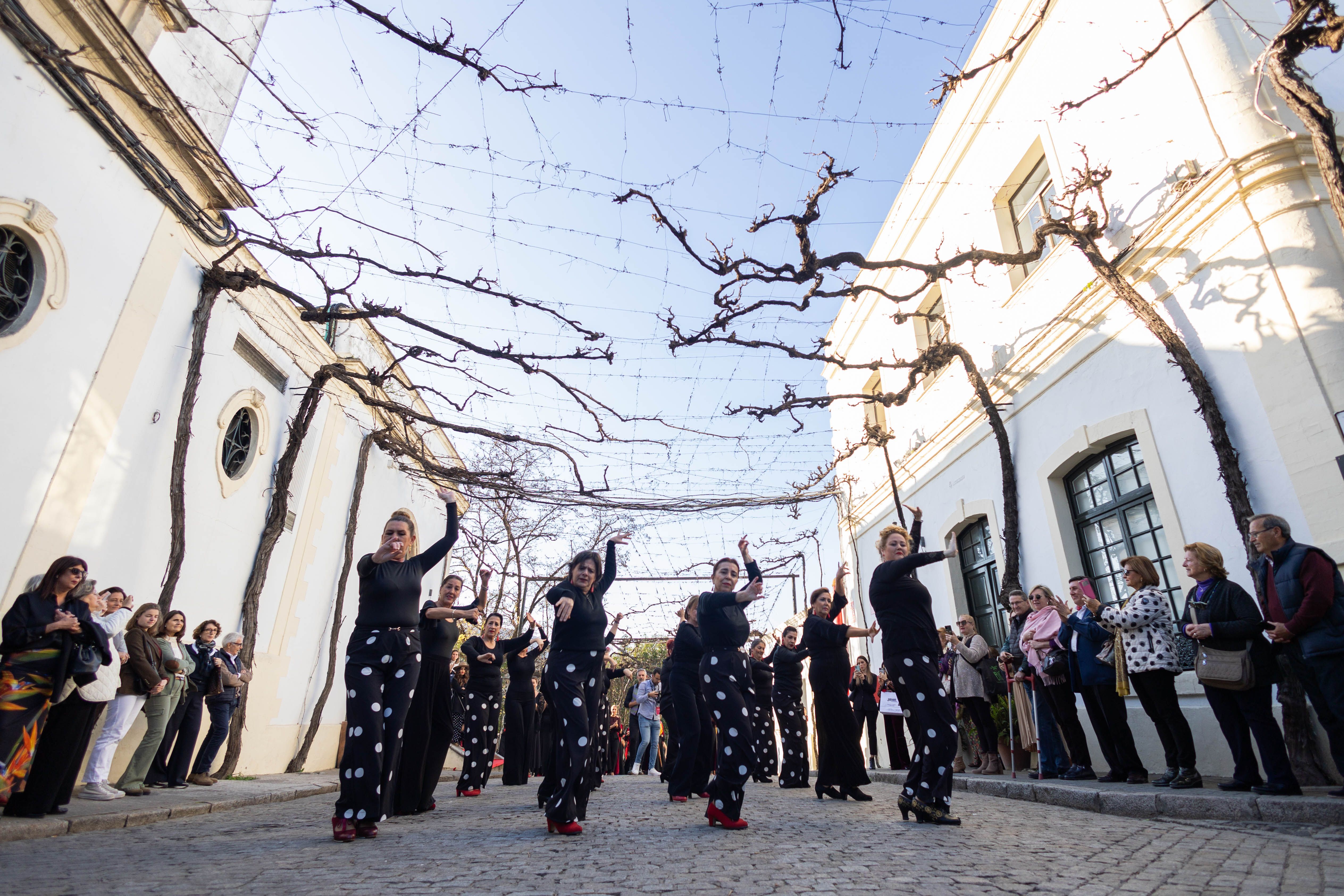 Inauguración de la Pasarela Flamenca Tío Pepe Jerez 2024.