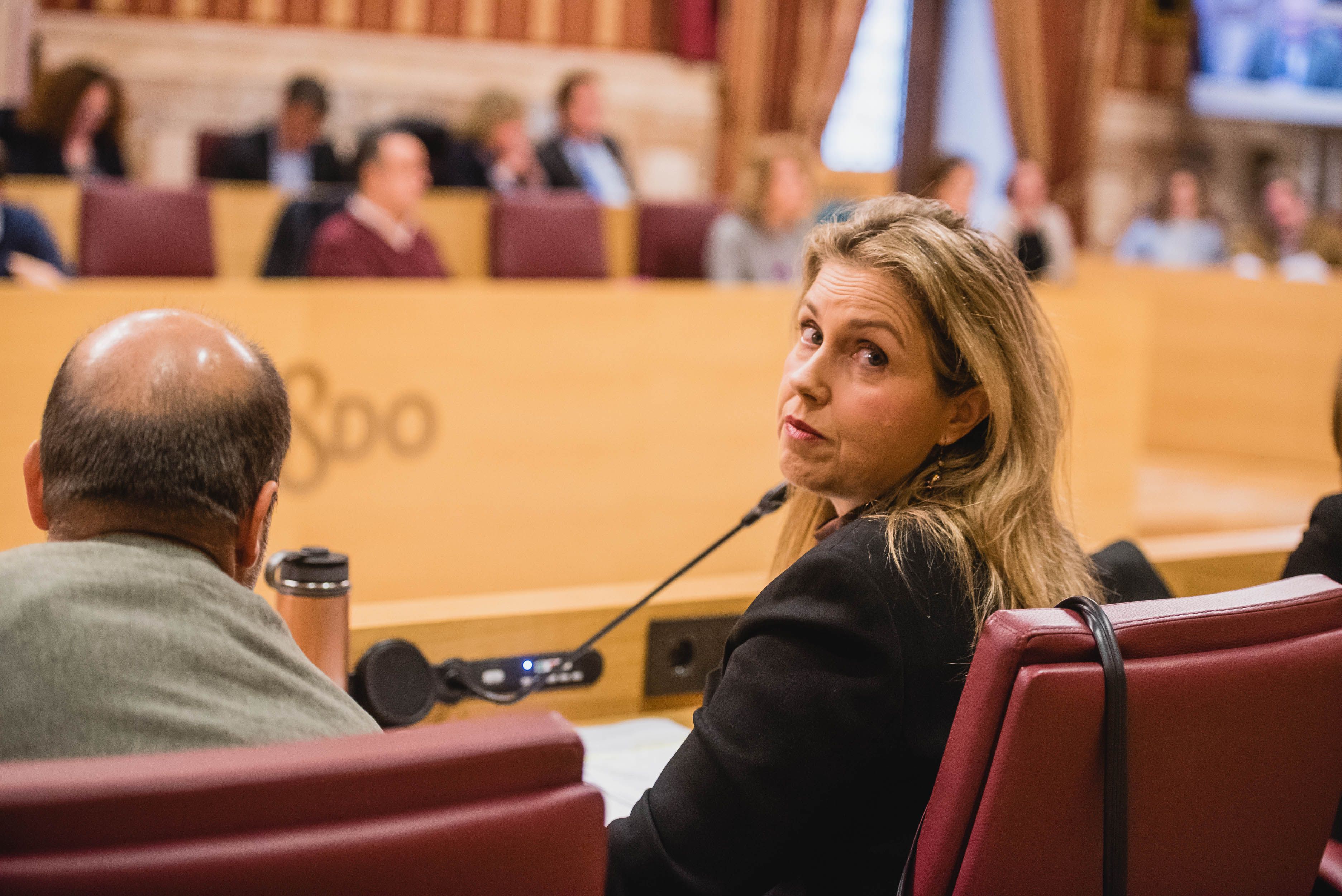 Cristina Peláez, portavoz de Vox, en un pleno del Ayuntamiento de Sevilla.