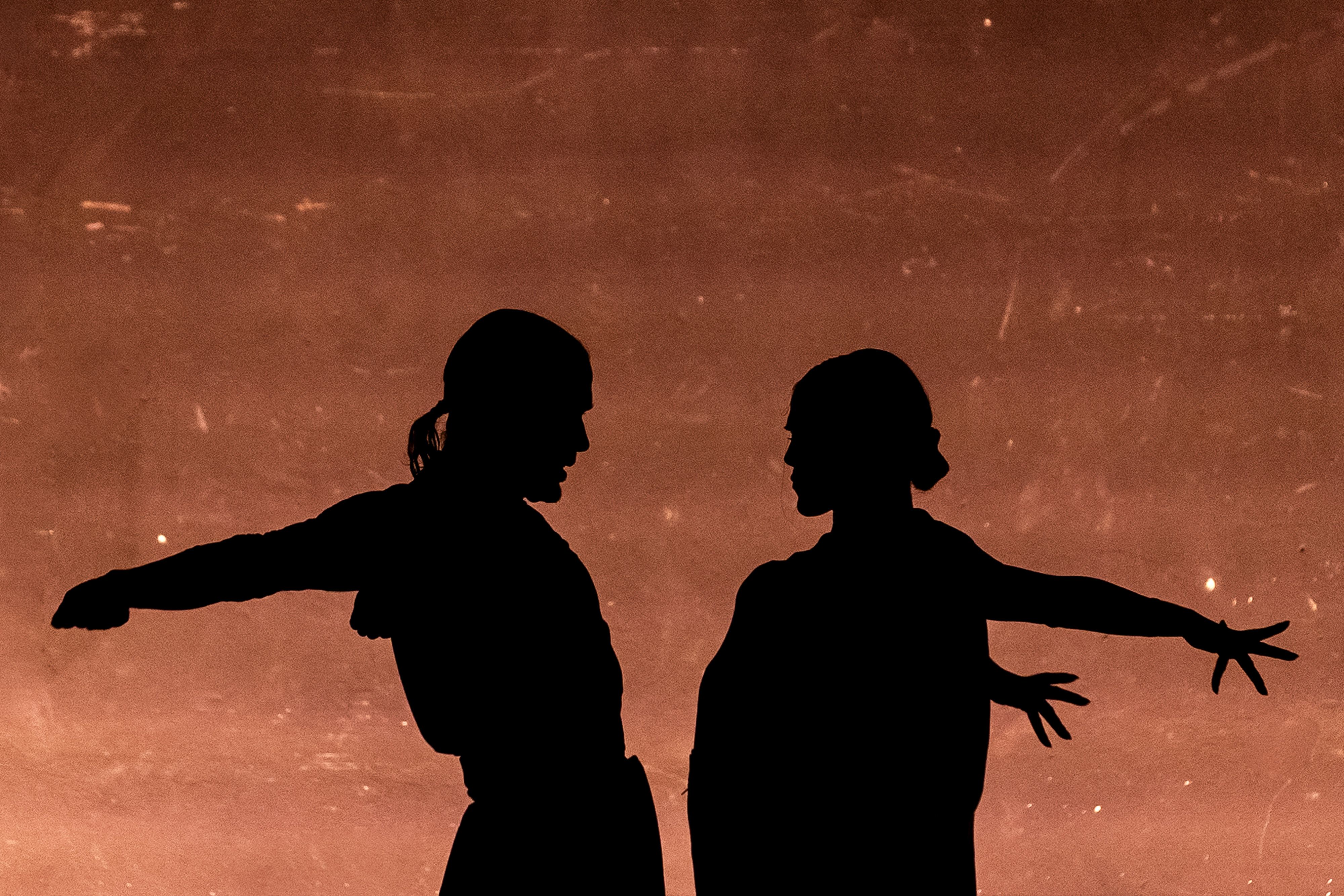 'Alter Ego', de Alfonso Losa y Patricia Guerrero, en el 28 Festival de Jerez