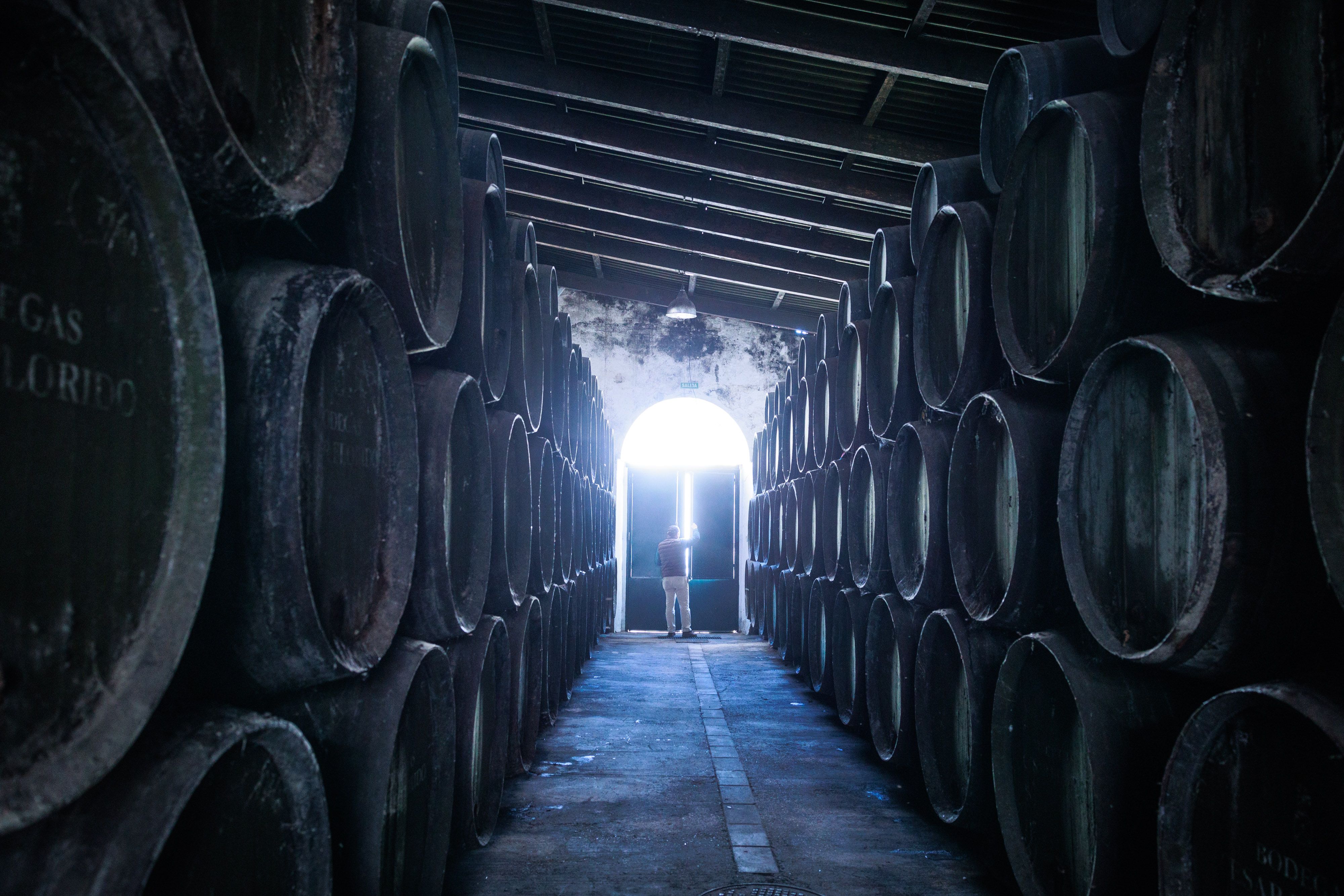 César Florido en su bodega.