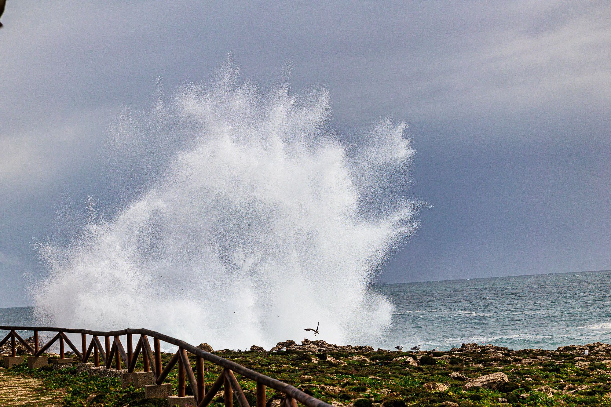 Faro de Tarifa 