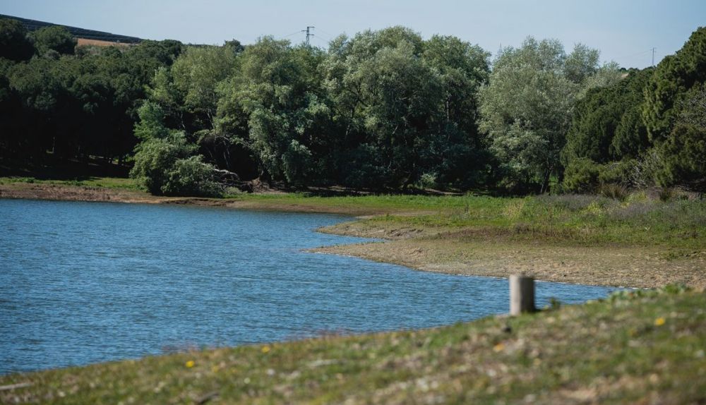 El estado del embalse del Gergal de Emasesa, en Guillena, en imágenes.