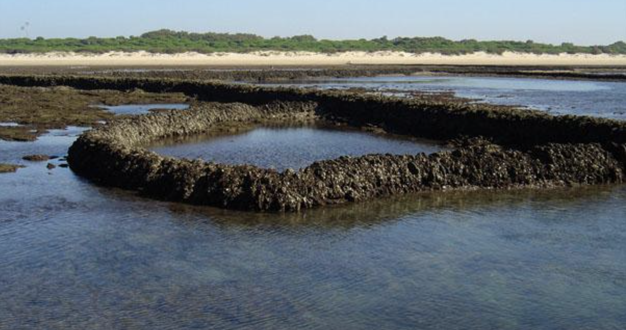 Los corrales de Rota, en una imagen de archivo.