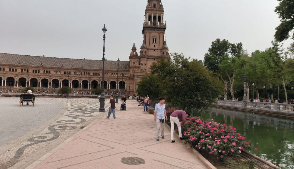 Dos jóvenes buscan entre las plantas de la Plaza de España.