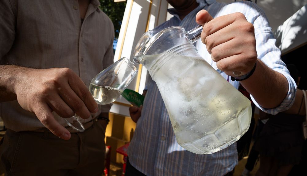Rebujito. Un clásico en la Feria desde hace ya tiempo.
