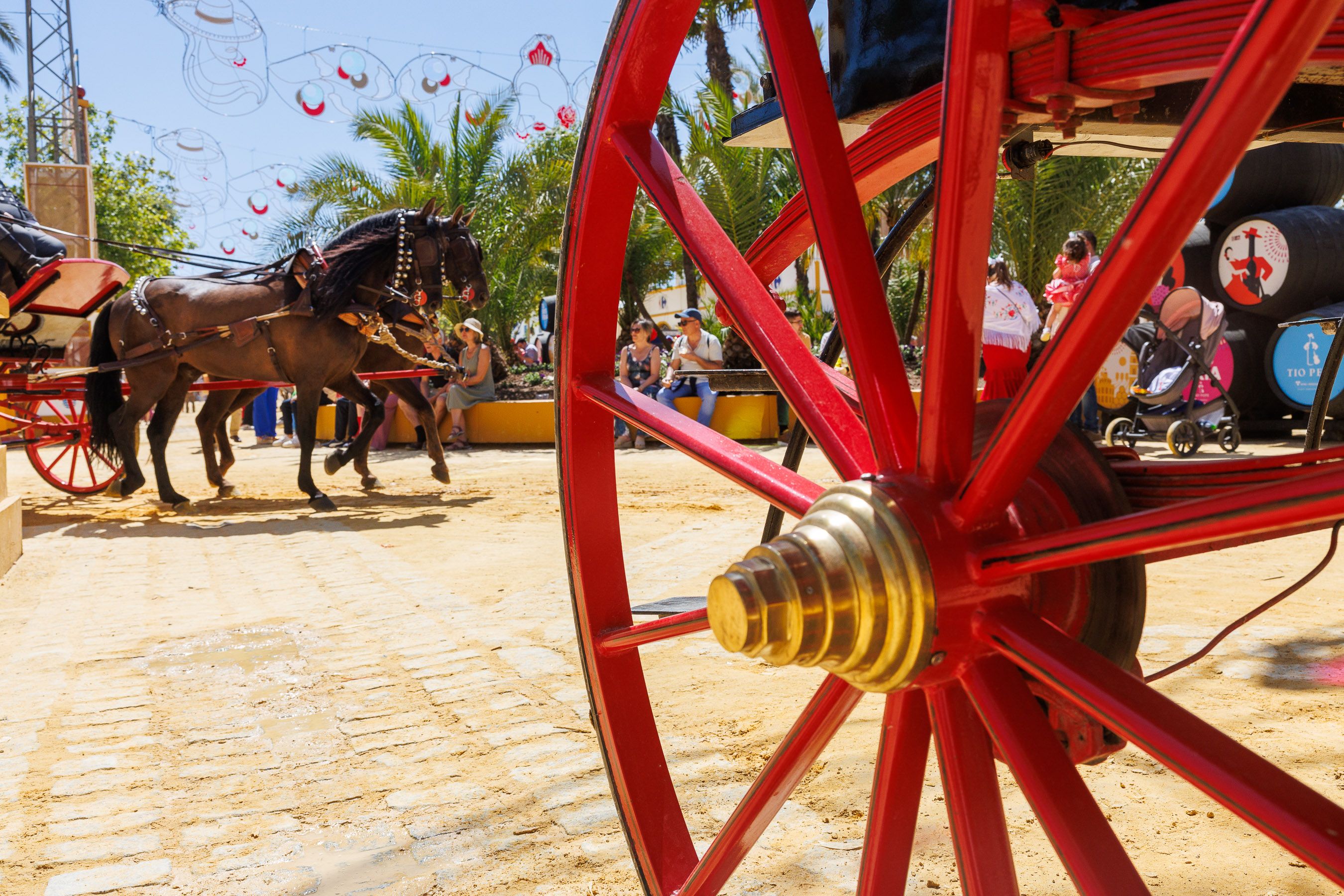 Caballos pasean por el Real durante la pasada Feria de Jerez. 