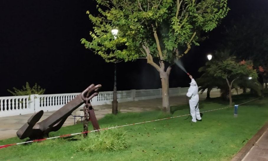Un operario municipal desinfecta árboles en Coria del Río, donde se ha notificado uno de los dos casos de Virus del Nilo