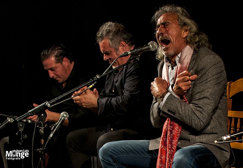 Capullo de Jerez será de nuevo uno de los cabezas de cartel más reclamados en los festivales flamencos de verano en Andalucía.