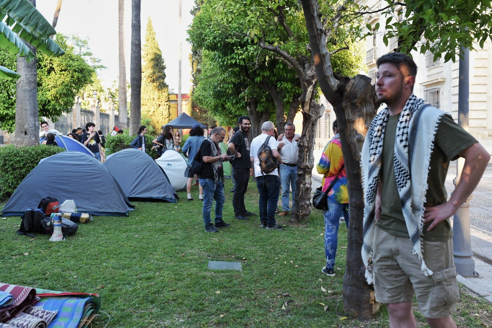 La acampada en el Rectorado de la Universidad de Sevilla. La acampada en el Rectorado de la Universidad de Sevilla.
