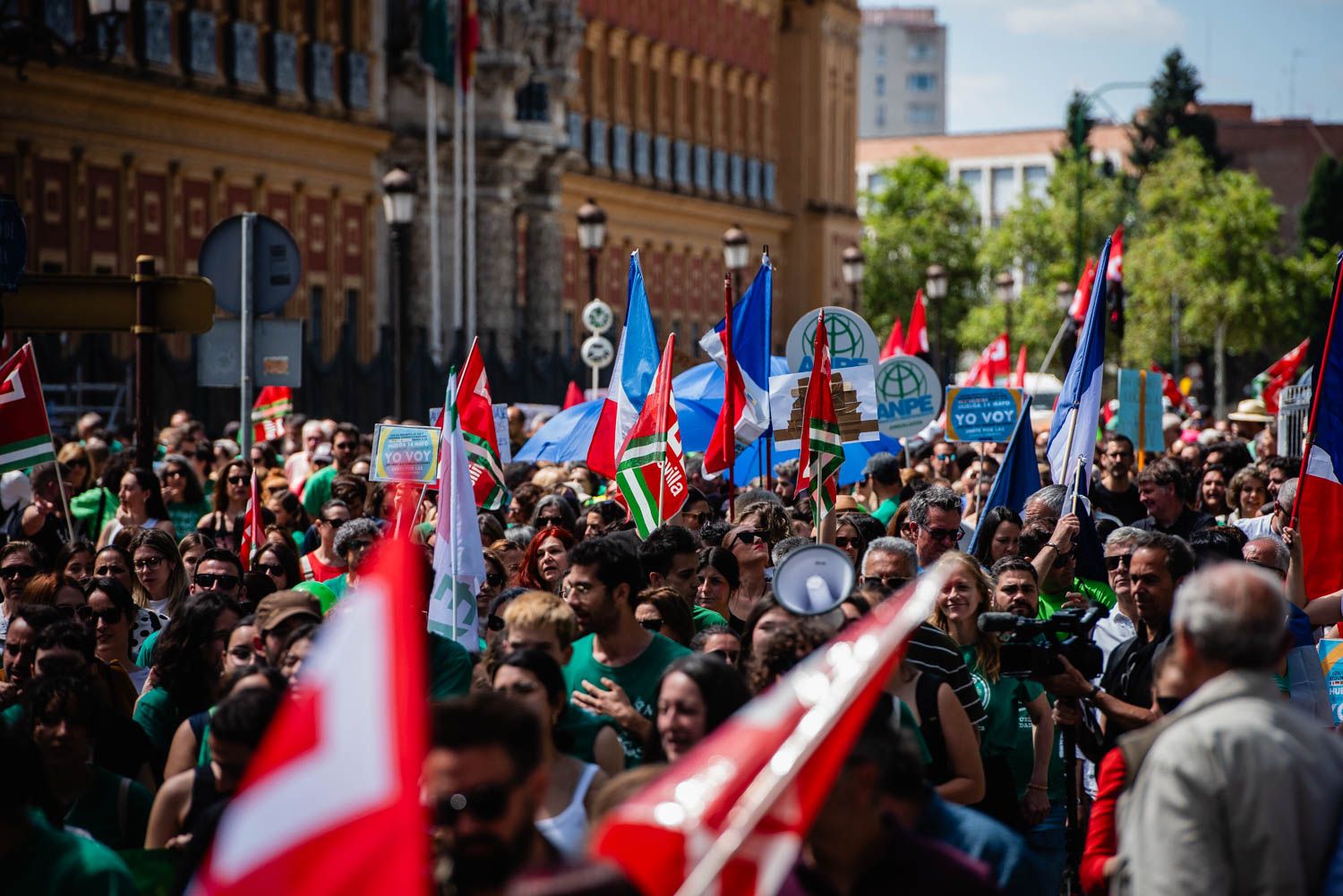 La huelga docente de Sevilla, desde San Telmo a las Setas, en imágenes.