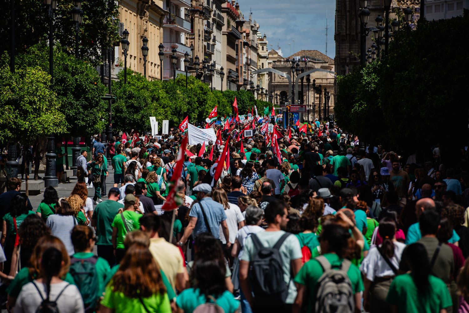 La huelga docente de Sevilla, desde San Telmo a las Setas, en imágenes.