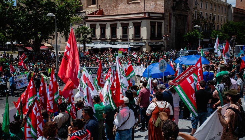 La huelga docente de Sevilla, desde San Telmo a las Setas, en imágenes.