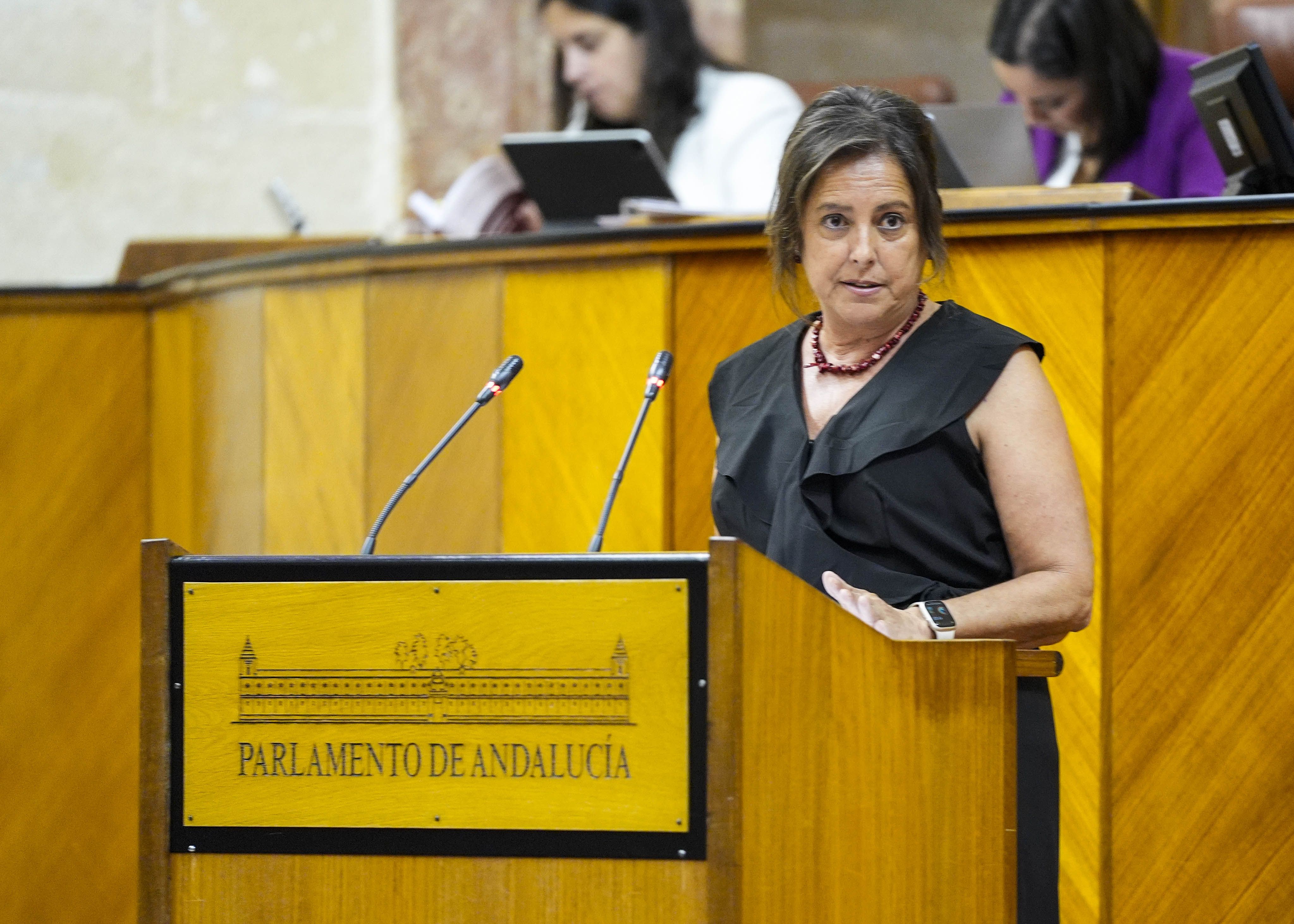 Catalina García, consejera de Salud de la Junta de Andalucía.