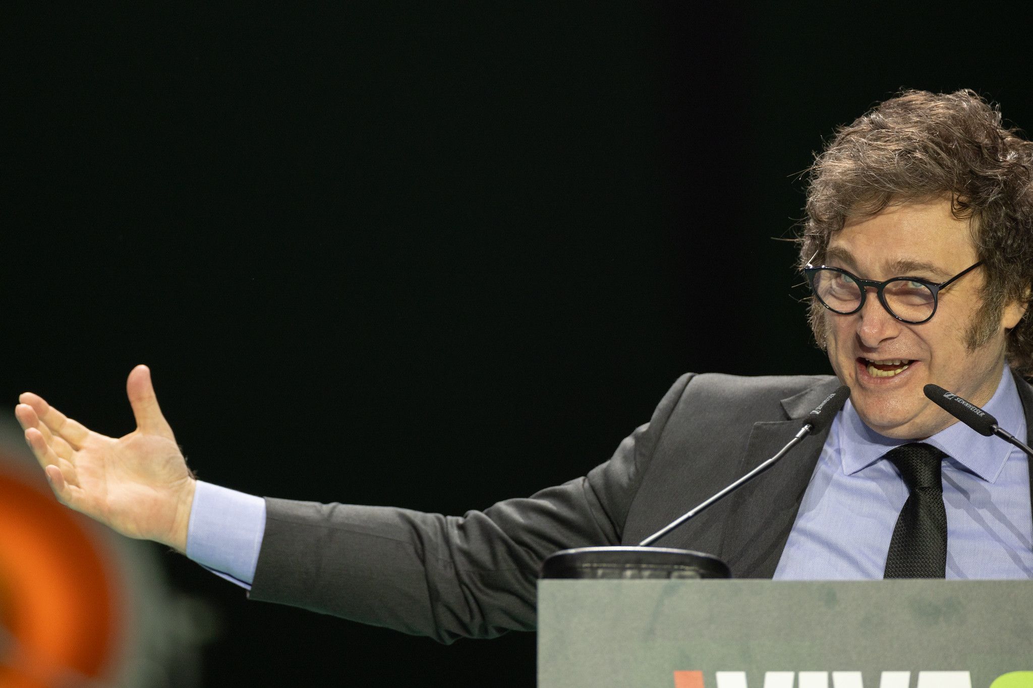 Milei, presidente de Argentina, en el acto de Vox. Milei, presidente de Argentina, en el acto de Vox.