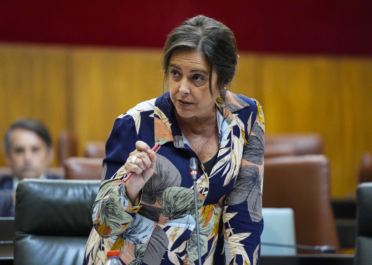 Catalina García, consejera de Salud de la Junta y responsable del SAS.