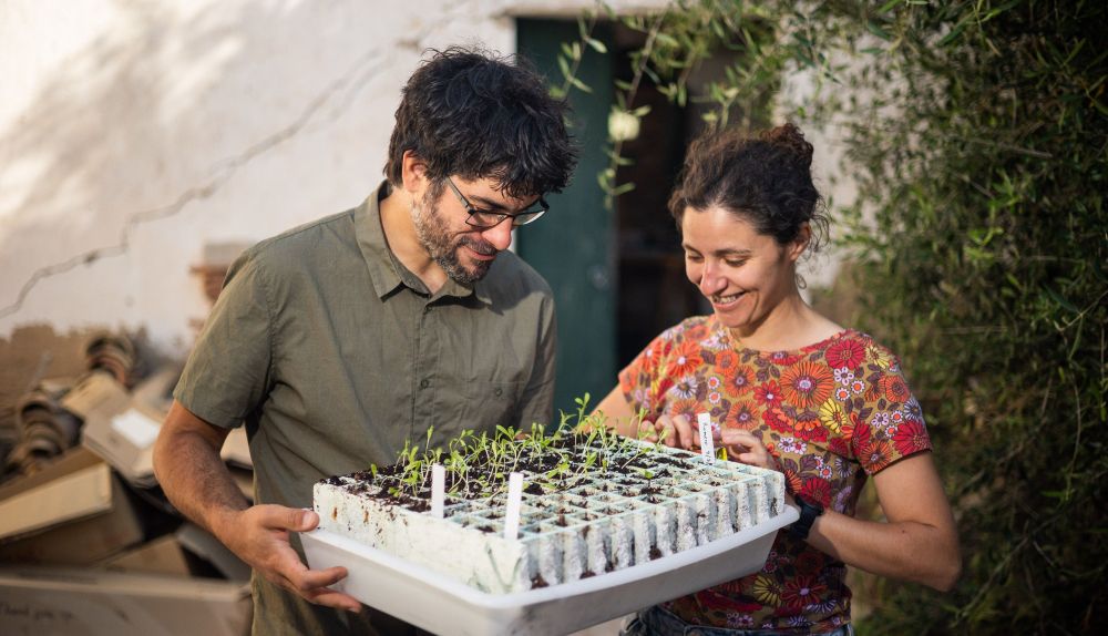 Javier y Águeda han plantado caléndulas y romeros.