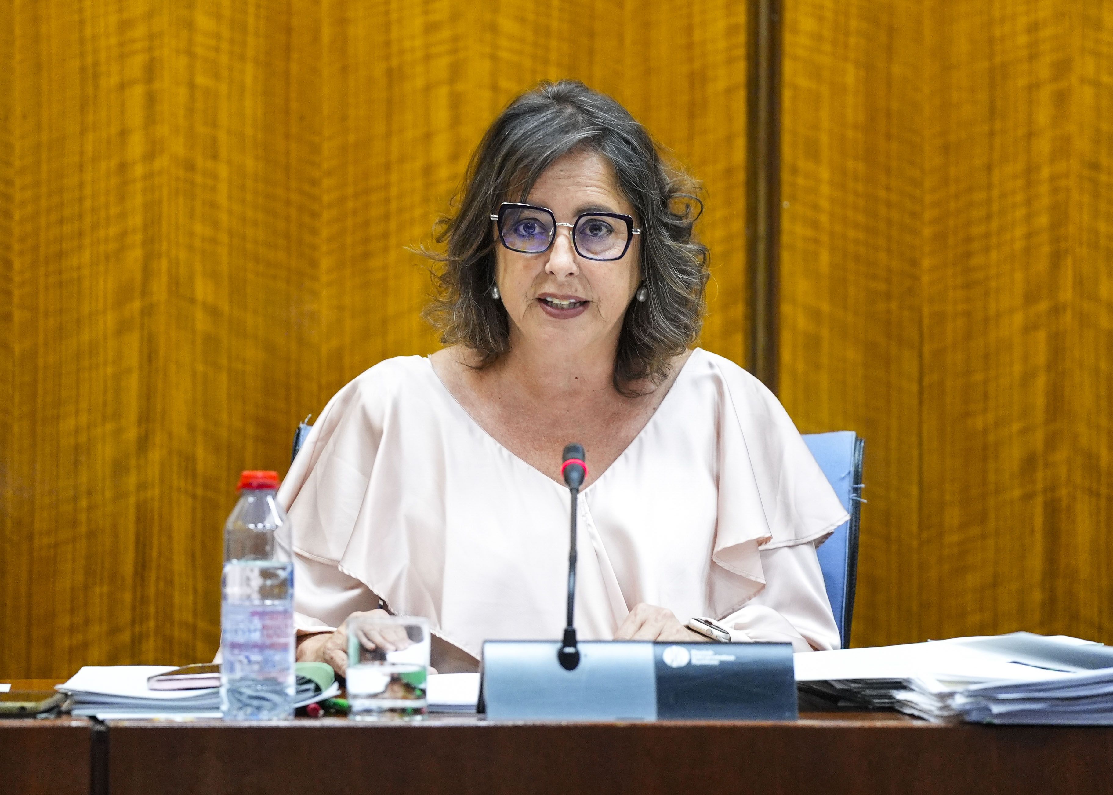 Catalina García, consejera de Salud de la Junta.