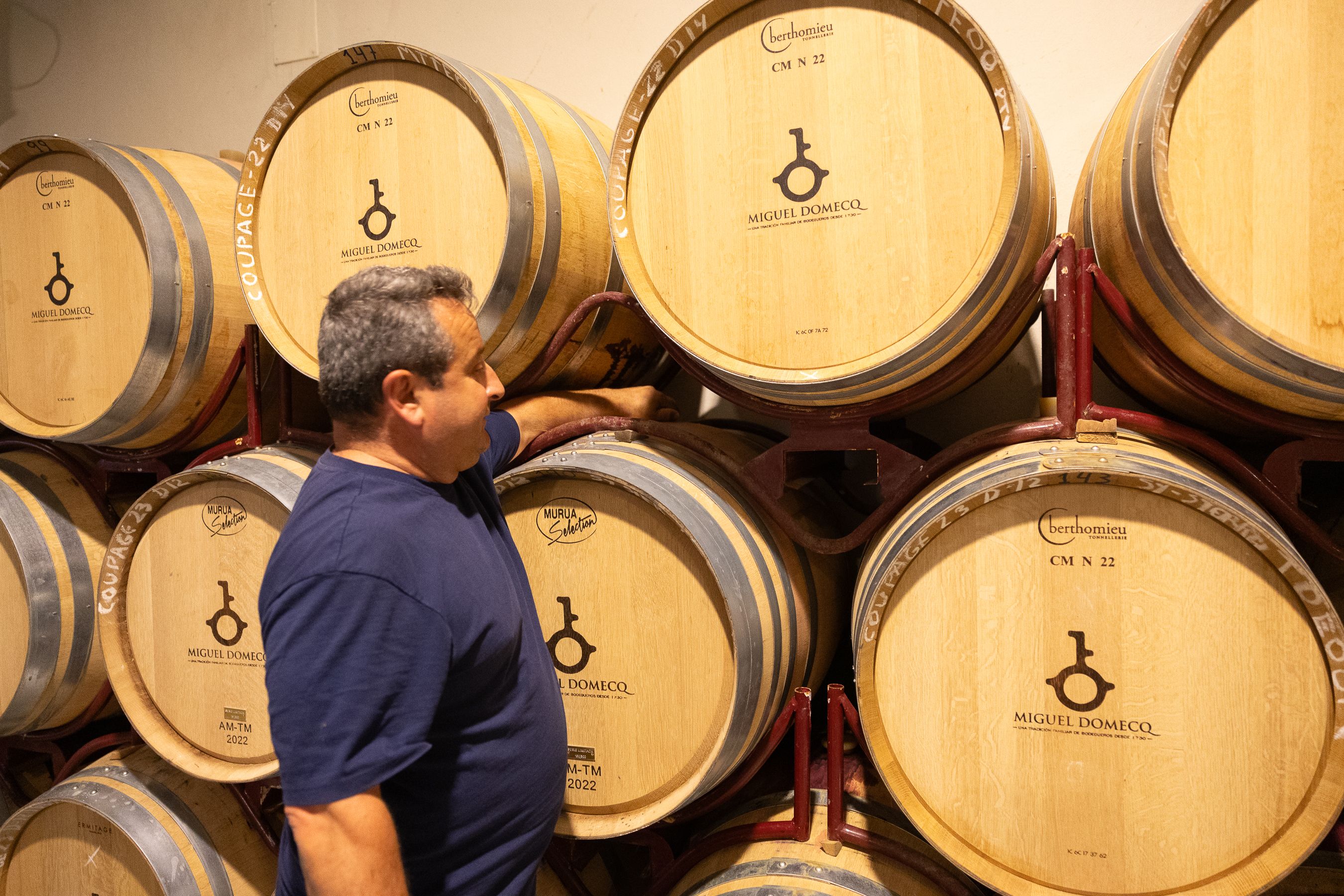 Bodegas Entrechuelos Torrecera 