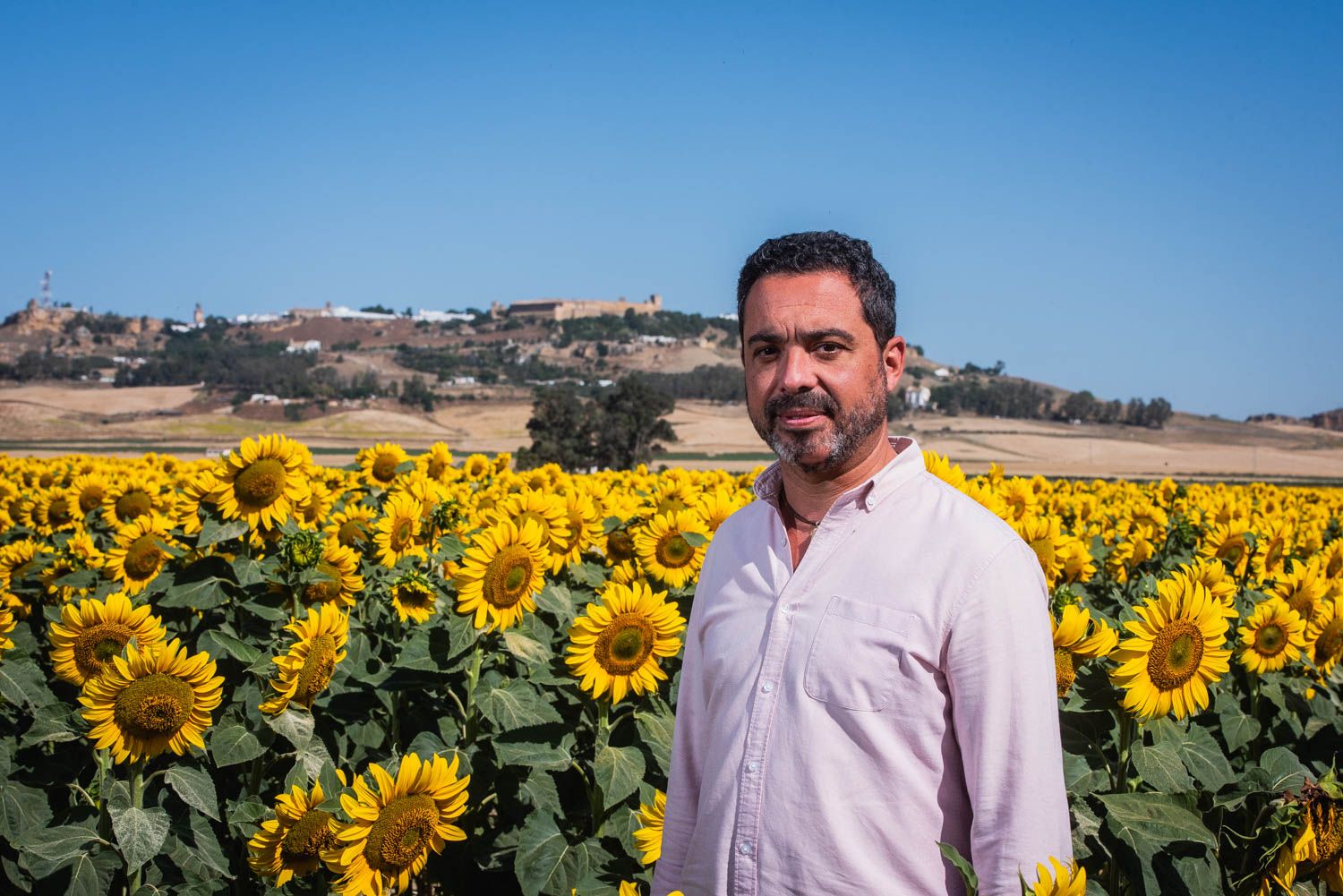 REPORTAJE CARMONA GIRASOLES 4