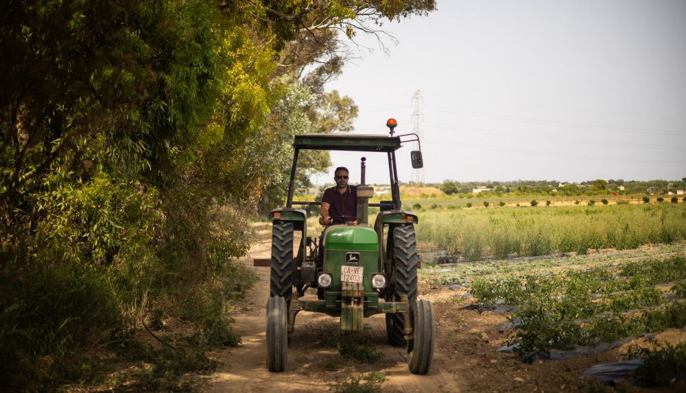AGRICULTOR TORRECERA JOSE MIGUEL 16