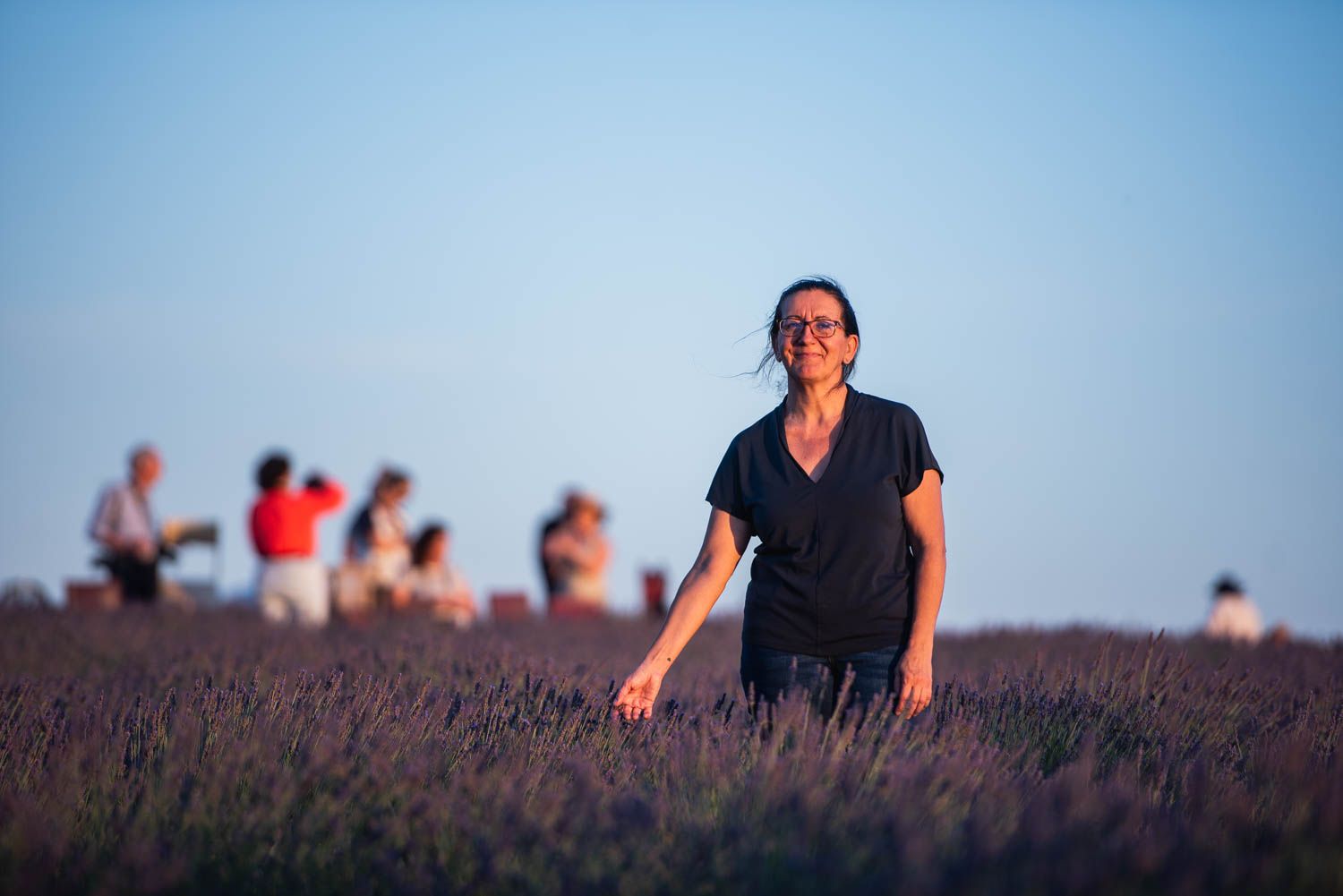 La finca Las Coronas, con lavanda, aloe vera, chopos y eucaliptos en plena campiña de Carmona, en imágenes.
