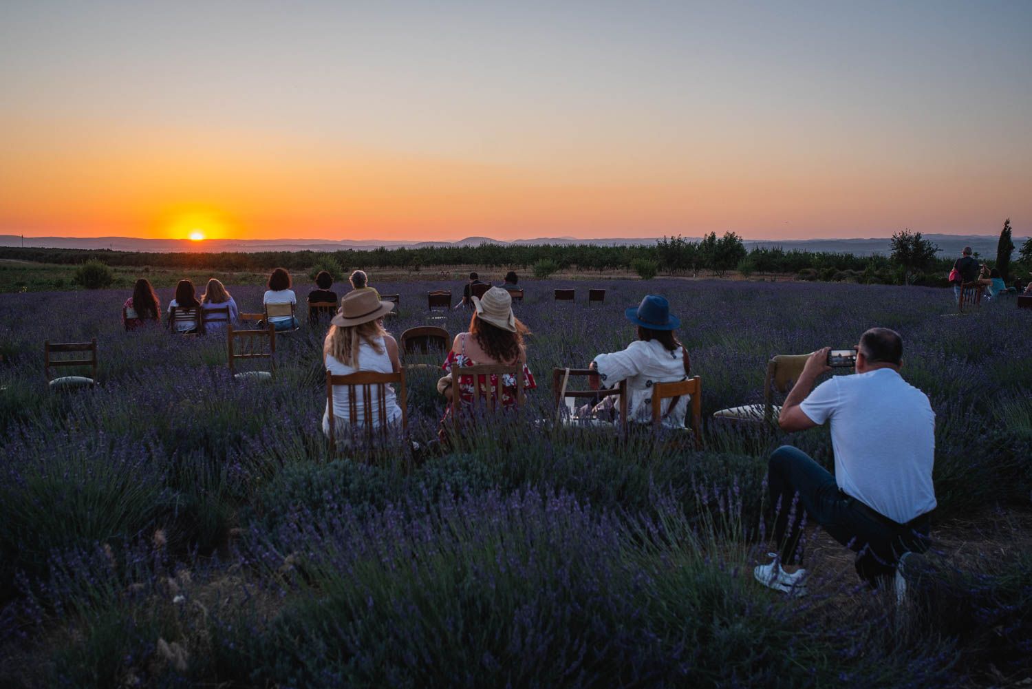 La finca Las Coronas, con lavanda, aloe vera, chopos y eucaliptos en plena campiña de Carmona, en imágenes.