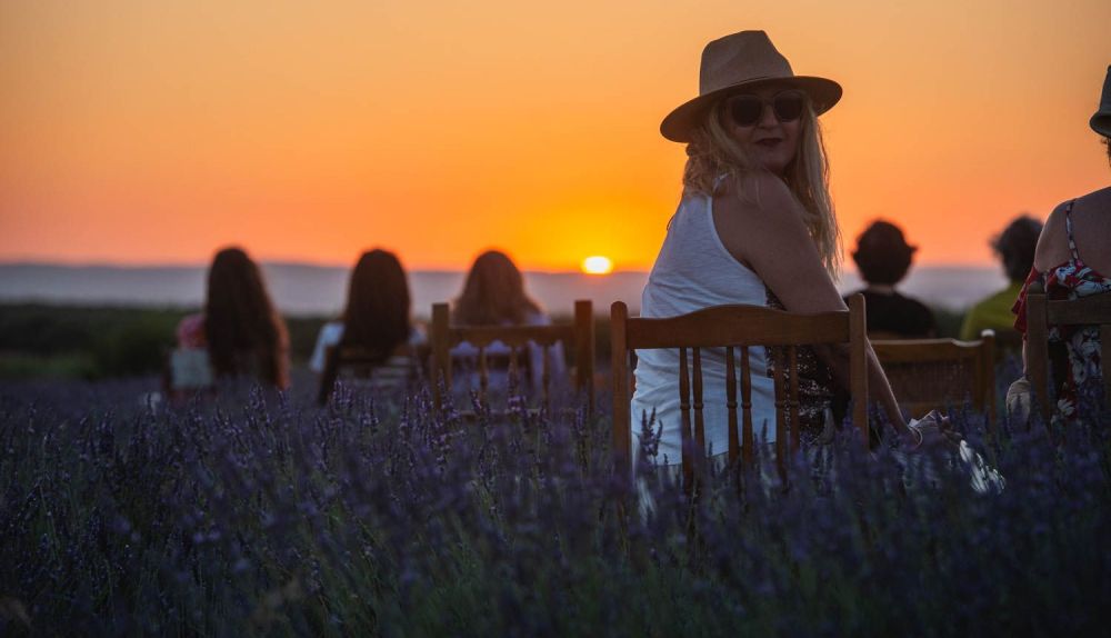 La finca Las Coronas, con lavanda, aloe vera, chopos y eucaliptos en plena campiña de Carmona, en imágenes.