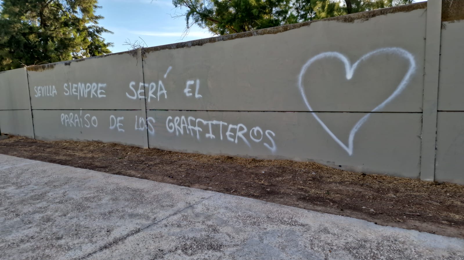 fotos pintadas insultos calle maria galiana (1)