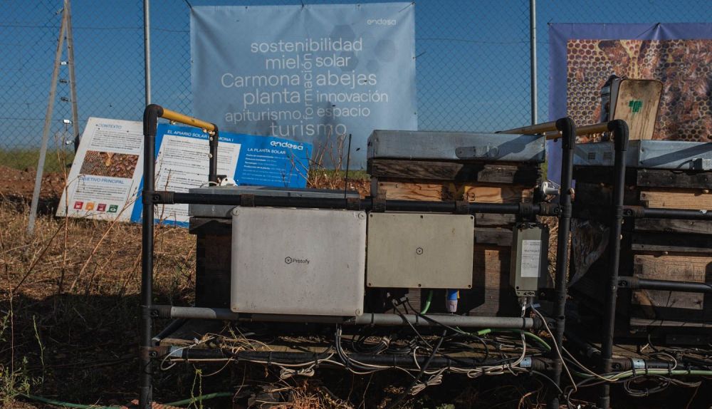 LAS CORCHAS PLANTA FOTOVOLTÁICA APIARIO SOLAR CARMONA 18